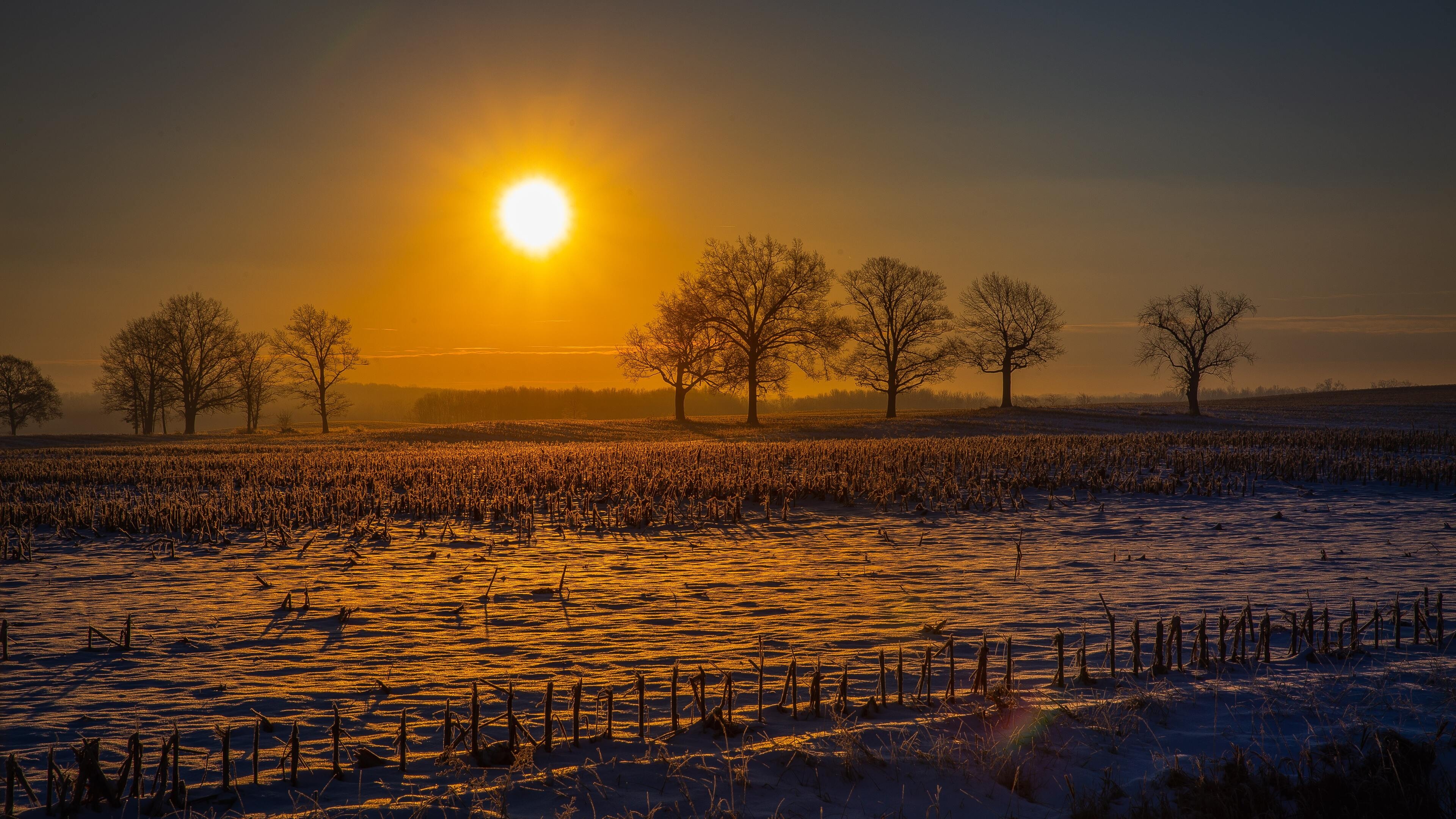 Farm field sun beams, 5K resolution, Rural landscapes, Natural beauty, 3840x2160 4K Desktop