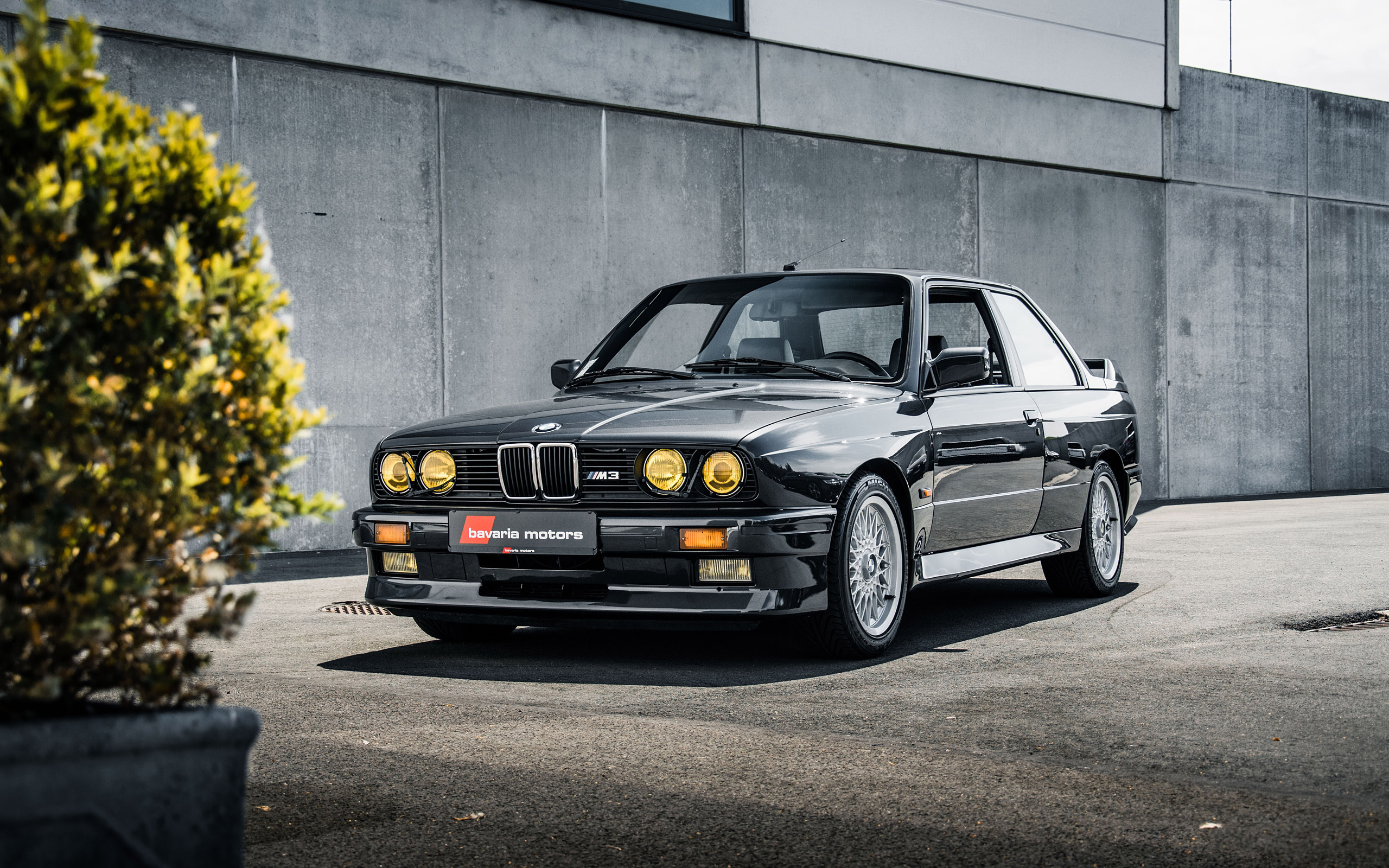 BMW E30 M3, bavaria motors, yellow tinted headlights, HD Desktop wallpaper