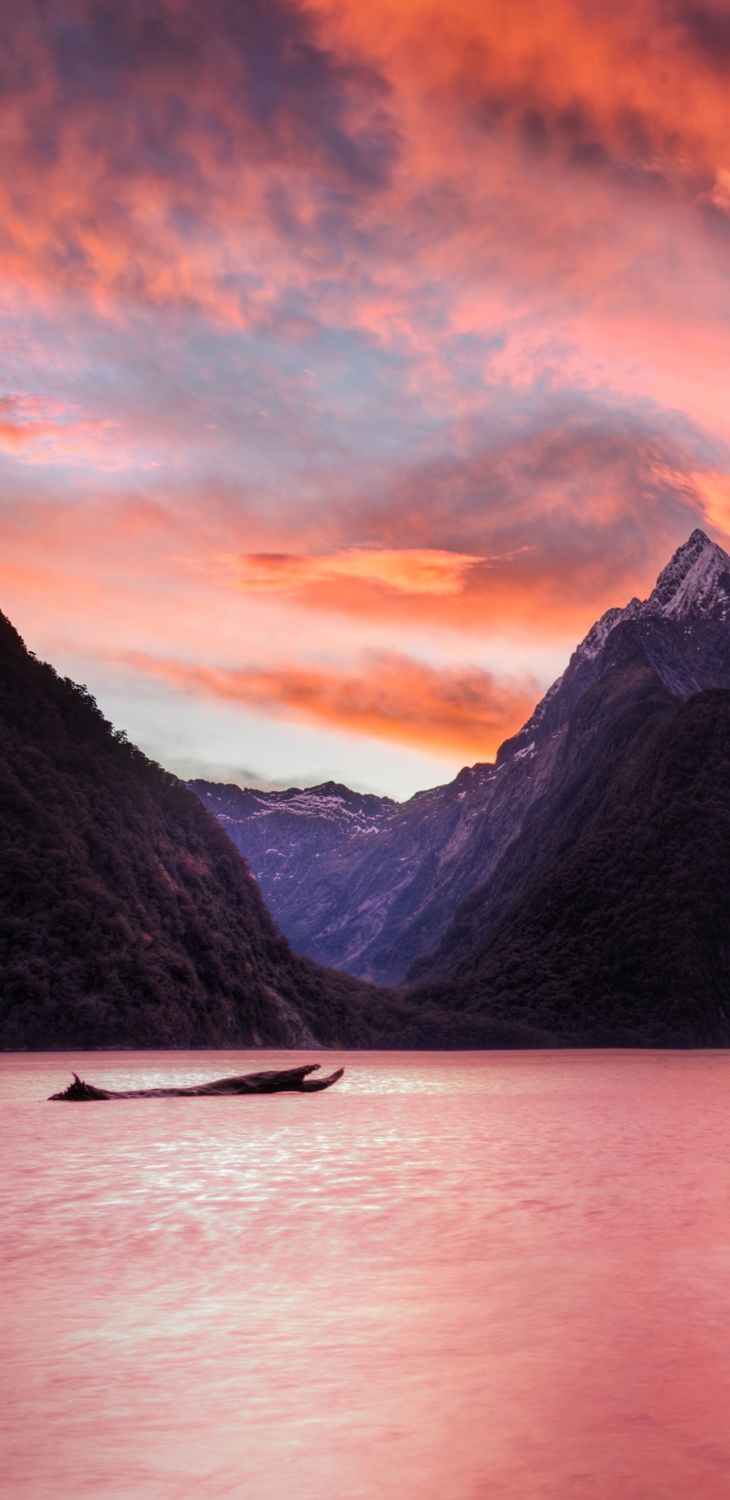 Milford Sound, Backgrounds, Top Free, Explore, 1440x2960 HD Phone