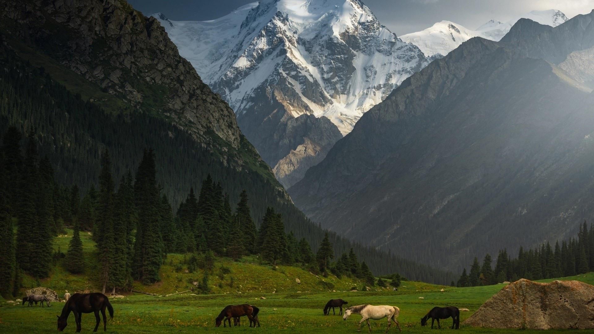 Wallpaper, Kyrgyzstan, Background, Travel, 1920x1080 Full HD Desktop