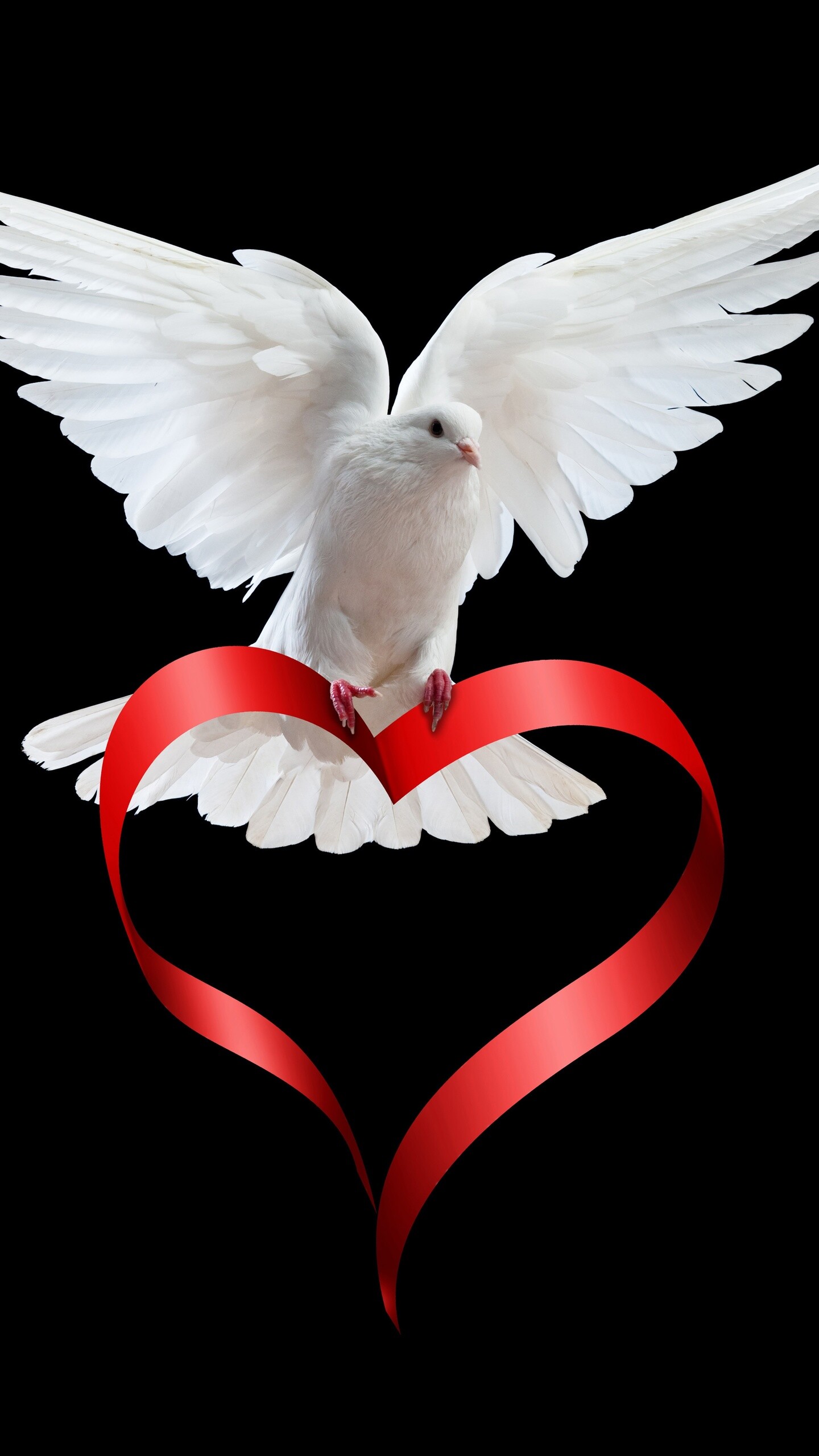 Dove, Peace Day Wallpaper, 1440x2560 HD Phone