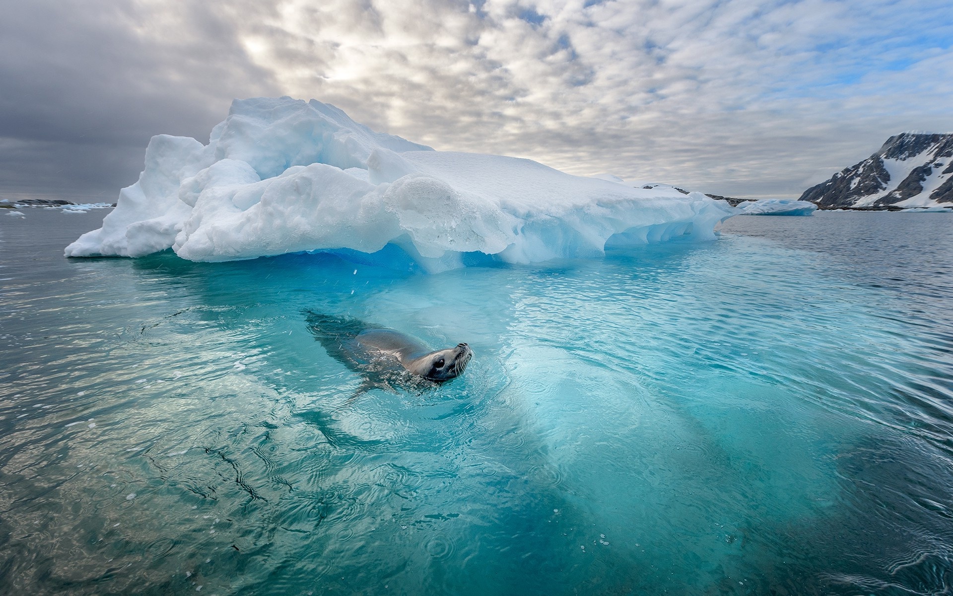 Frozen wonder, Nature's masterpiece, Majestic beauty, Serene landscape, 1920x1200 HD Desktop