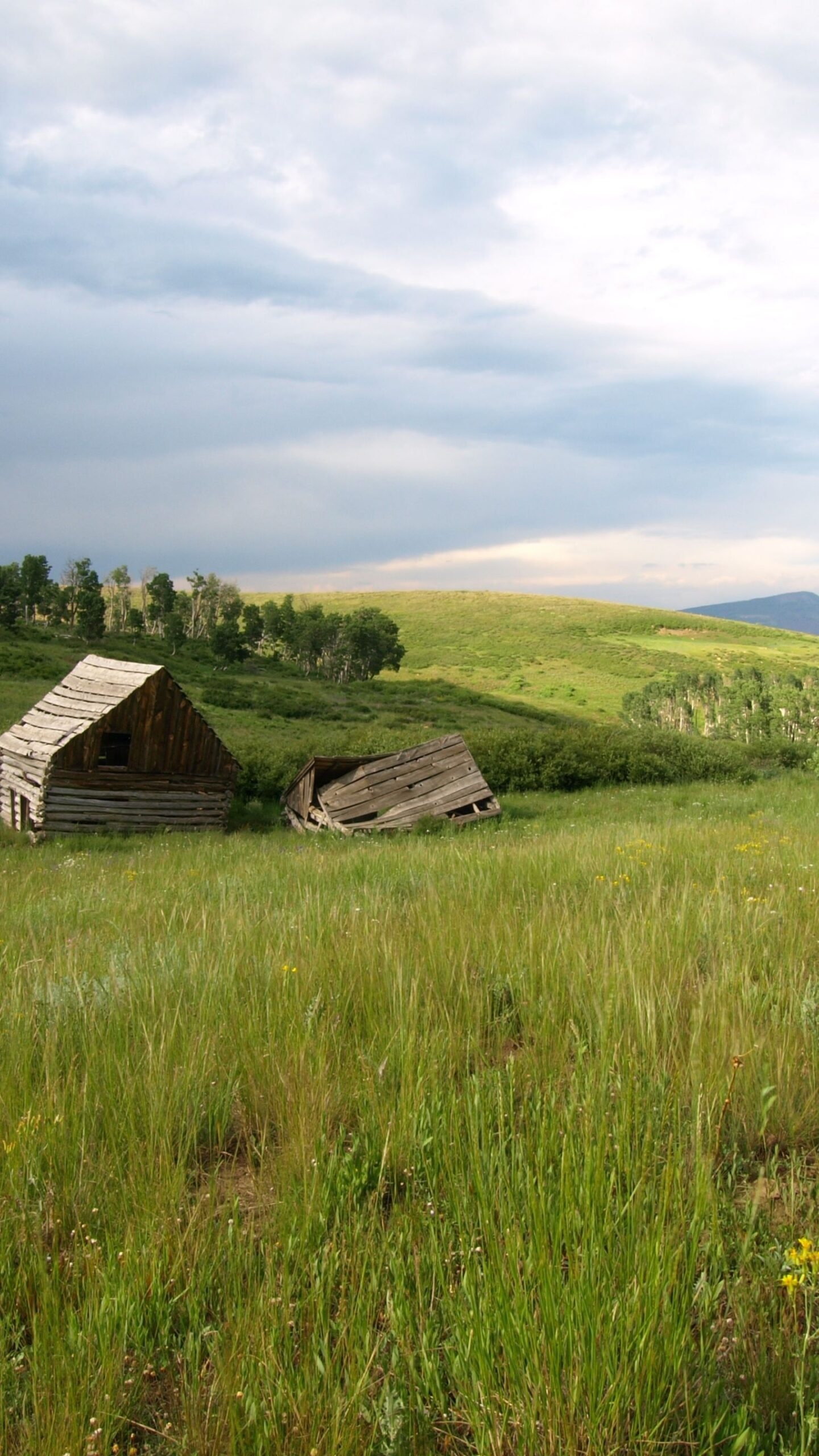 weathered log cabin, collapsed wooden shed, rolling green meadow, HD Phone wallpaper