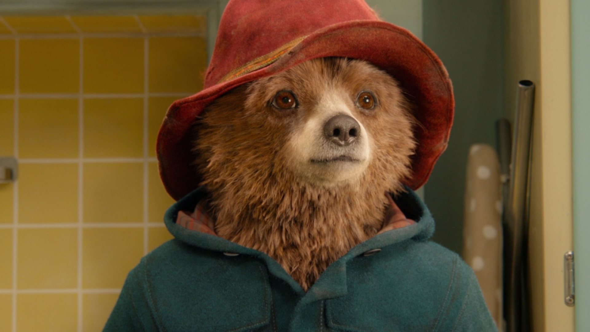 Paddington, 2014 movie, Movie review, 1920x1080 Full HD Desktop