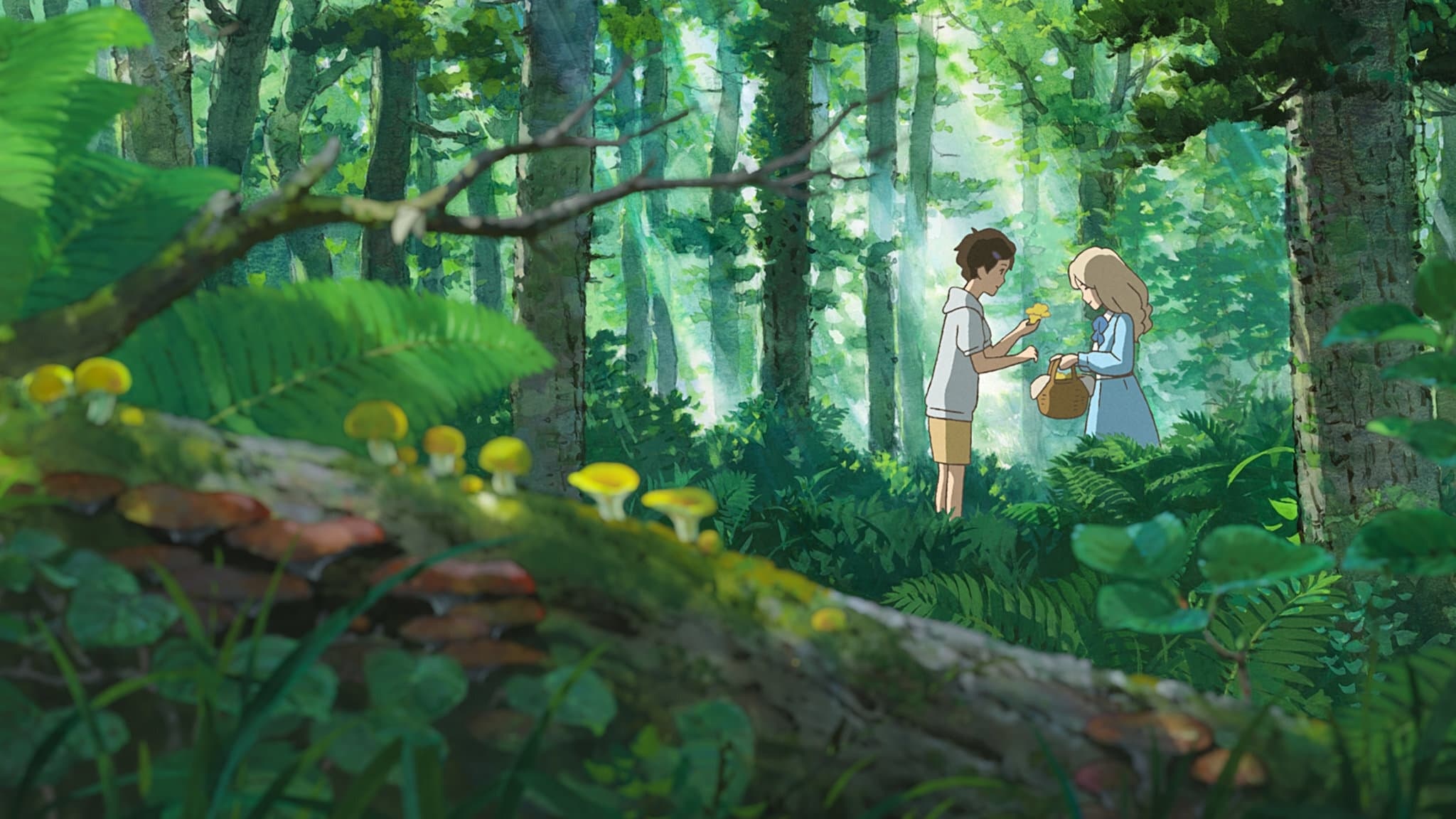 Anime, When Marnie Was There, Backdrops, The Movie Database, 2050x1160 HD Desktop