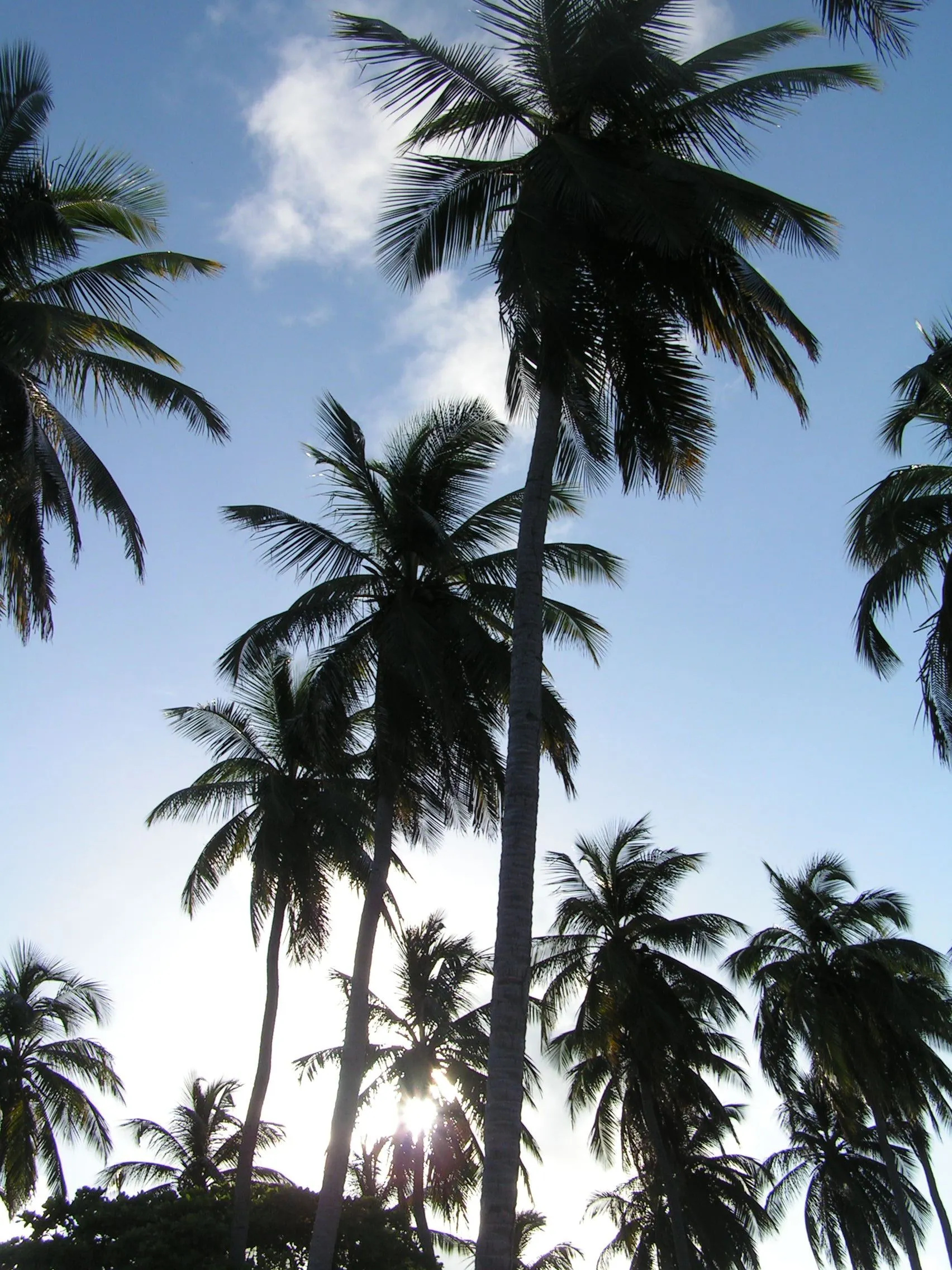 Old Providence, Authentic Caribbean charm, Cultural heritage, Rich history, 1710x2280 HD Phone