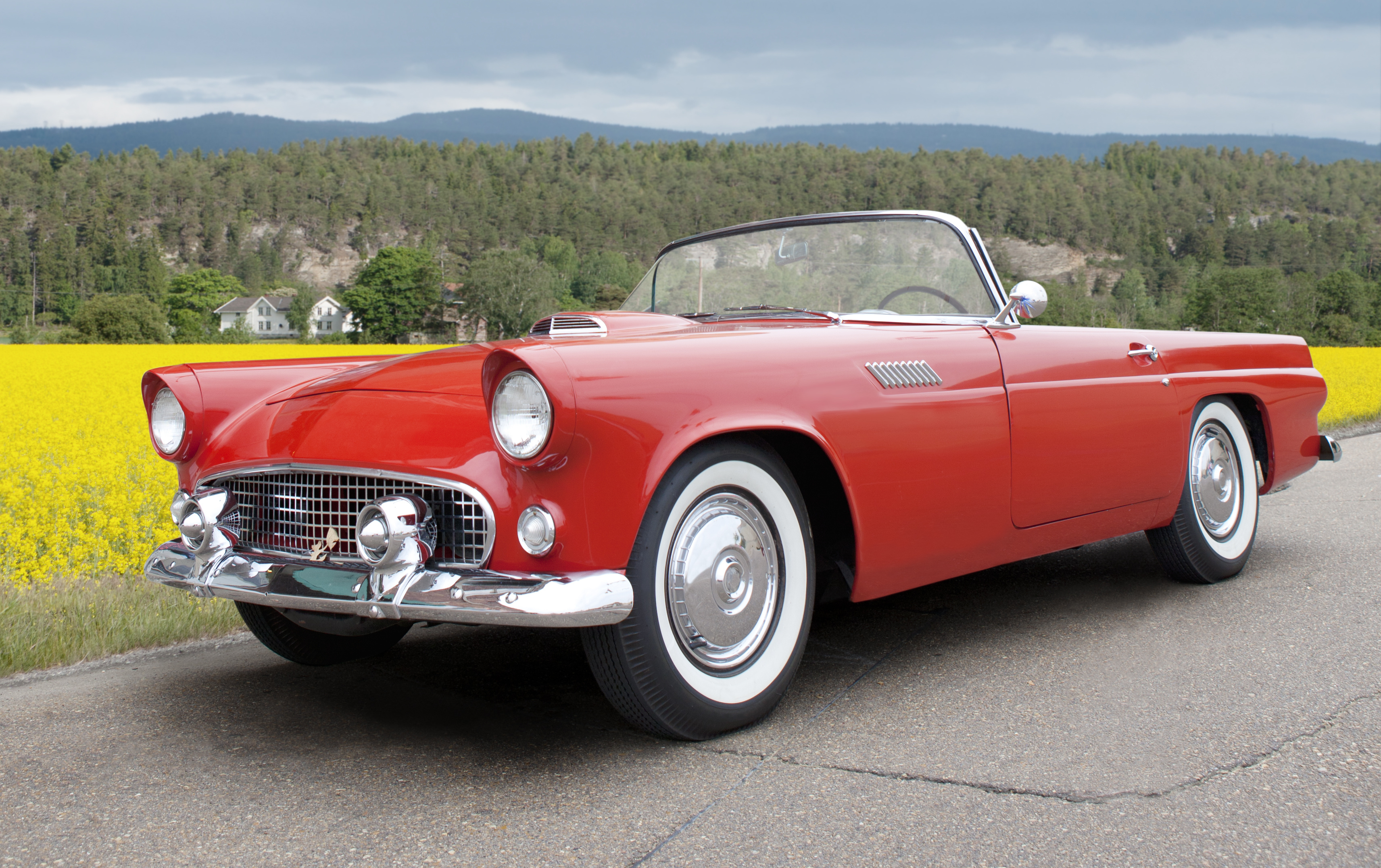 1955 Ford Thunderbird, yellow canola field, whitewall tires, HD Desktop wallpaper