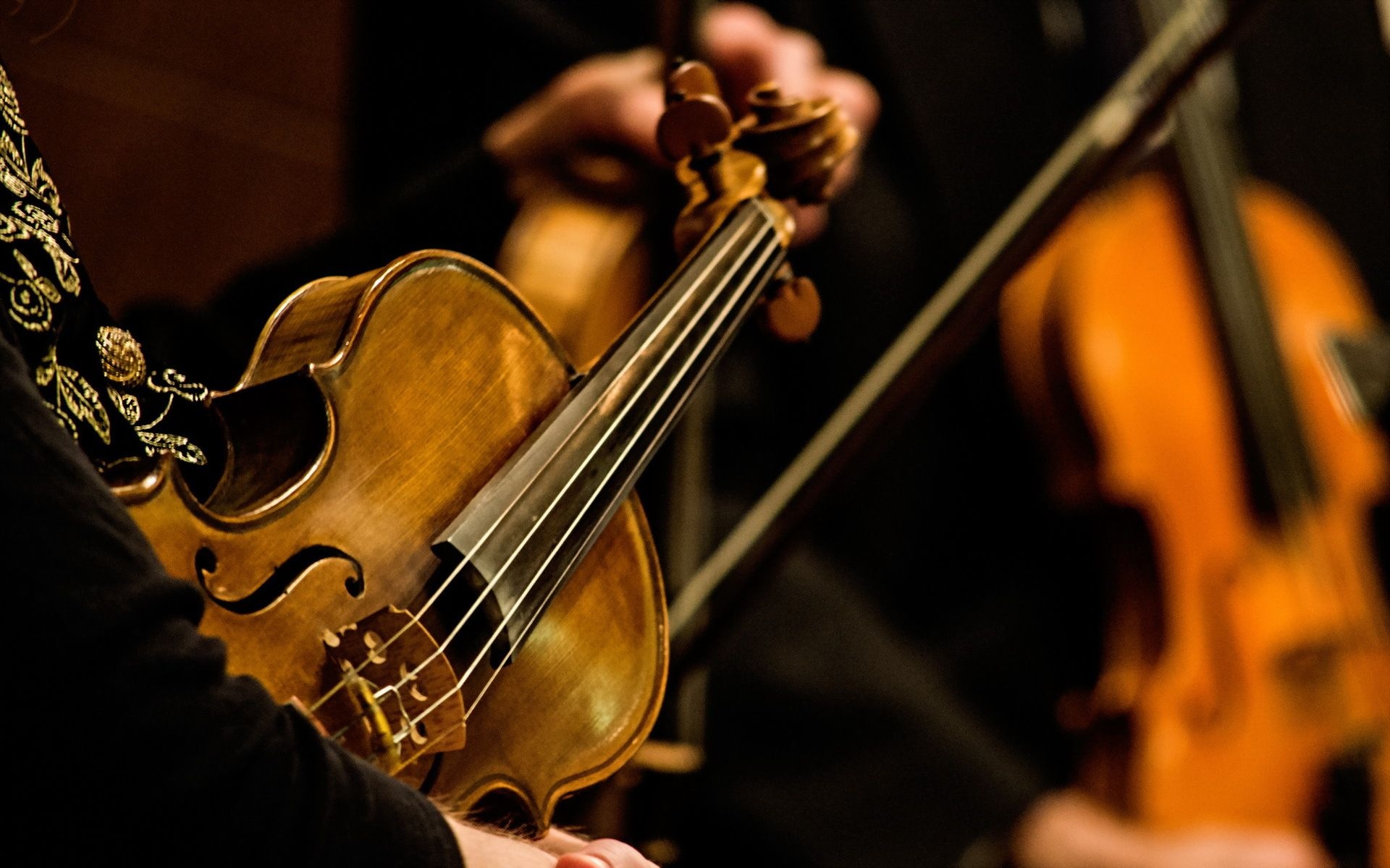 Viola music, String instruments, Top free backgrounds, Musical harmony, 1920x1200 HD Desktop