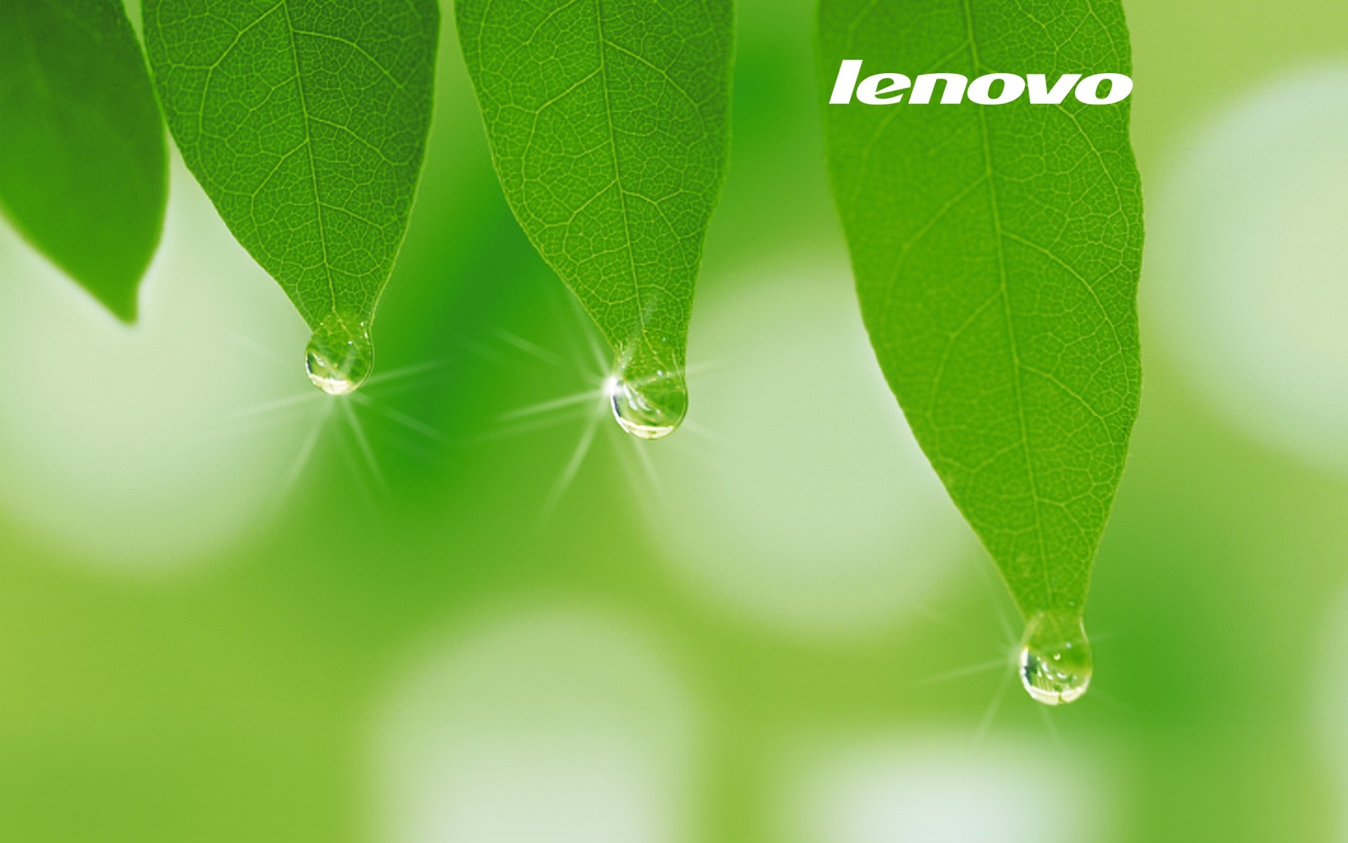 Download free Lenovo wallpaper, High-definition clarity, Pixel-perfect details, Visual indulgence, 1920x1200 HD Desktop