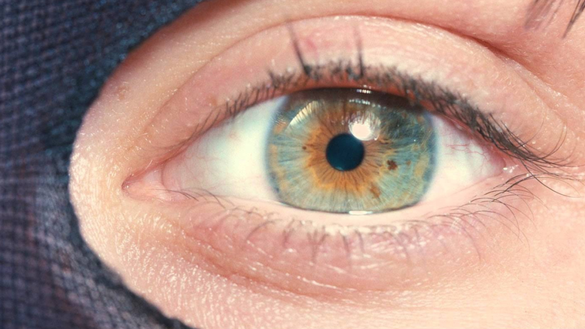 I Origins, Eyes as windows, Serendipitous encounters, Multi-dimensional storytelling, 1920x1080 Full HD Desktop