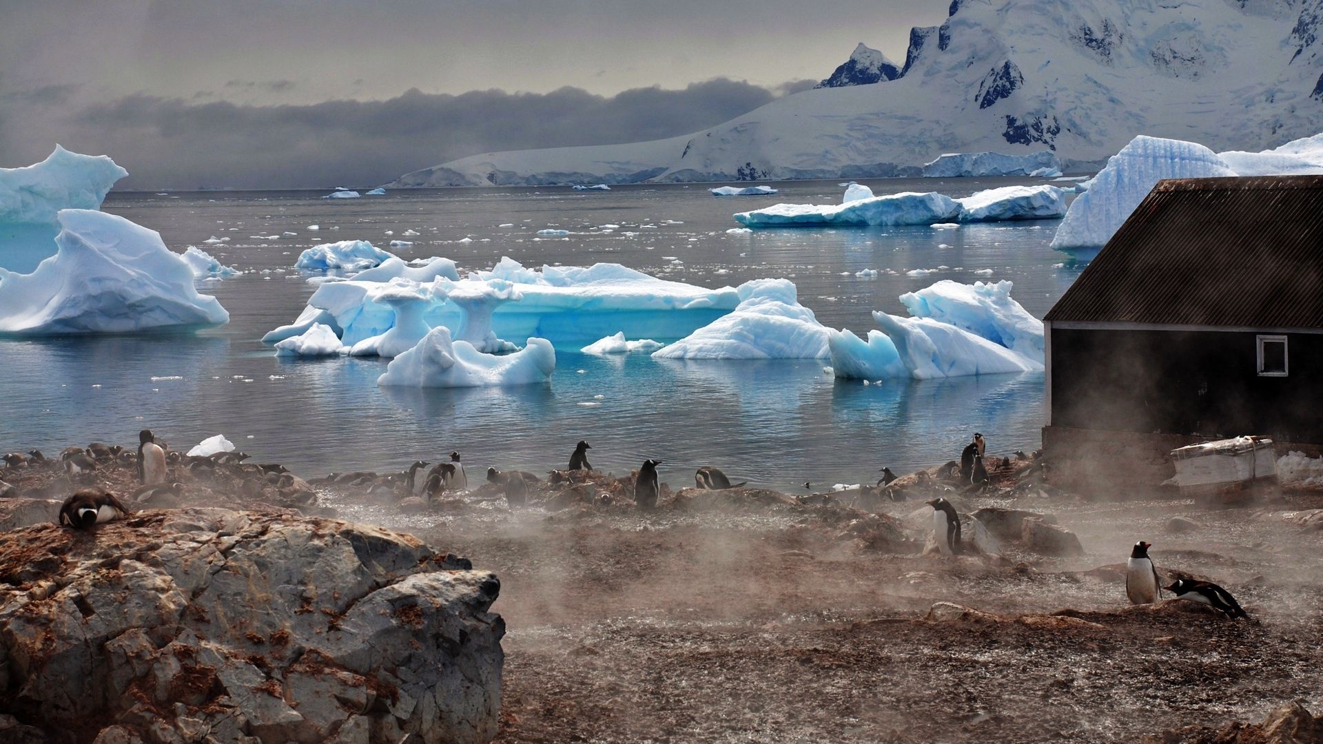 Antarctica Travels, Beach paradise, Winter retreat, Breathtaking wallpaper, 1920x1080 Full HD Desktop