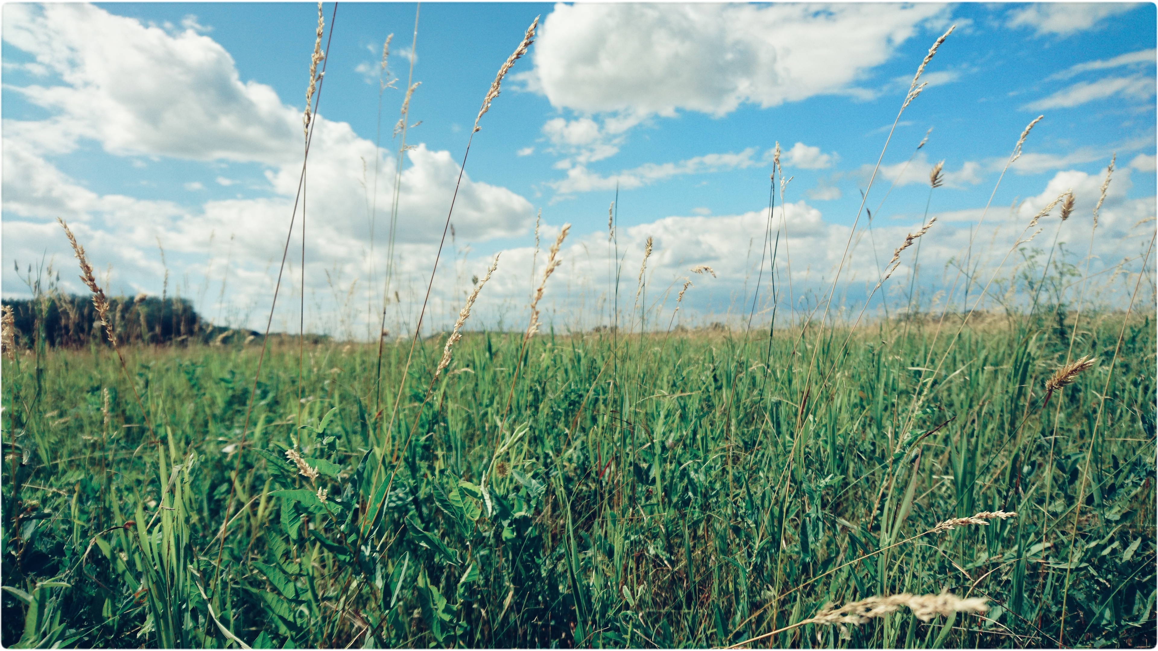 Sky, Clouds, Field ecosystem, Grassland prairie, 3840x2160 4K Desktop