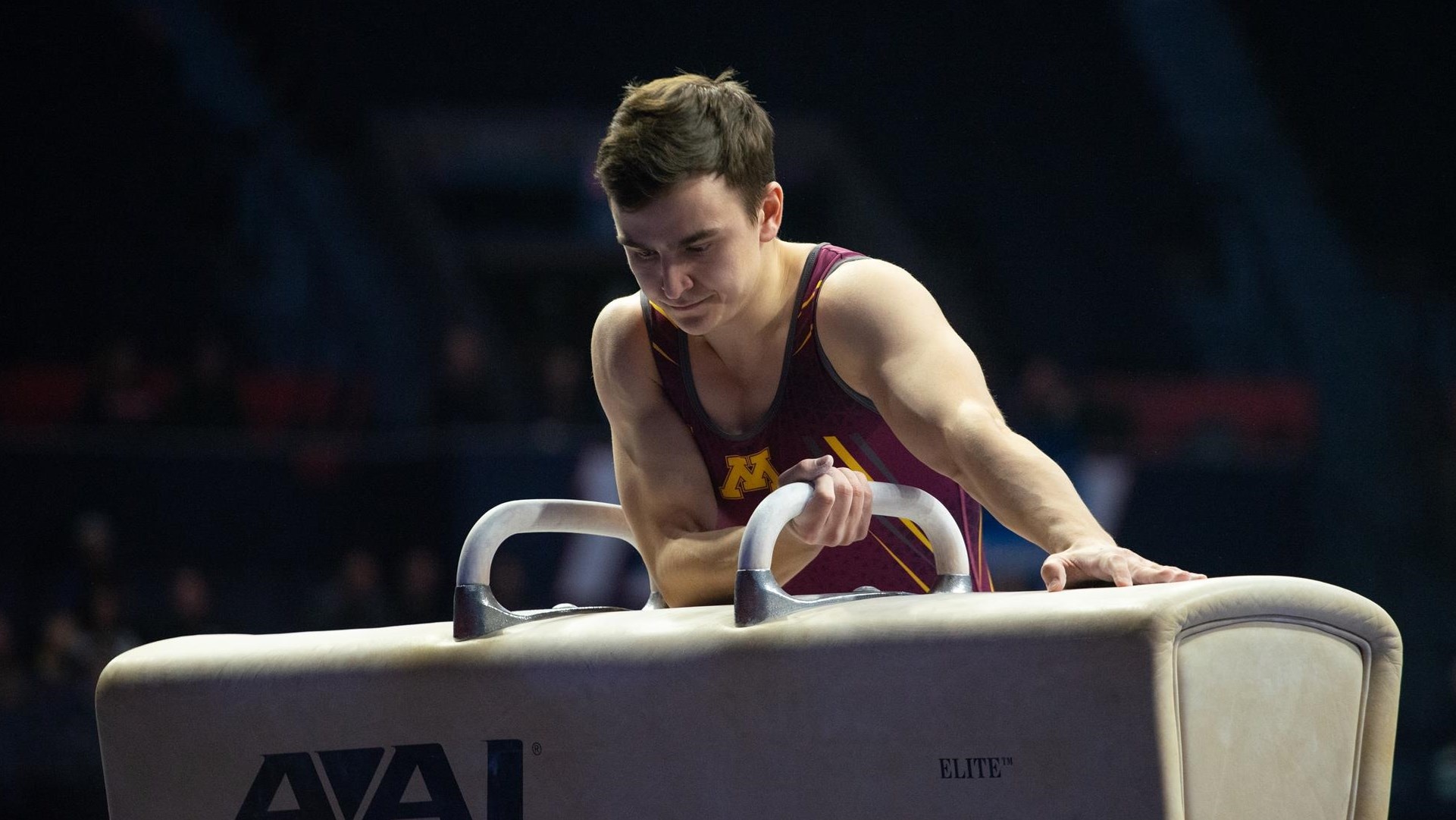 Henry Meeker, Men's Gymnastics, University of Minnesota Athletics, 1930x1090 HD Desktop