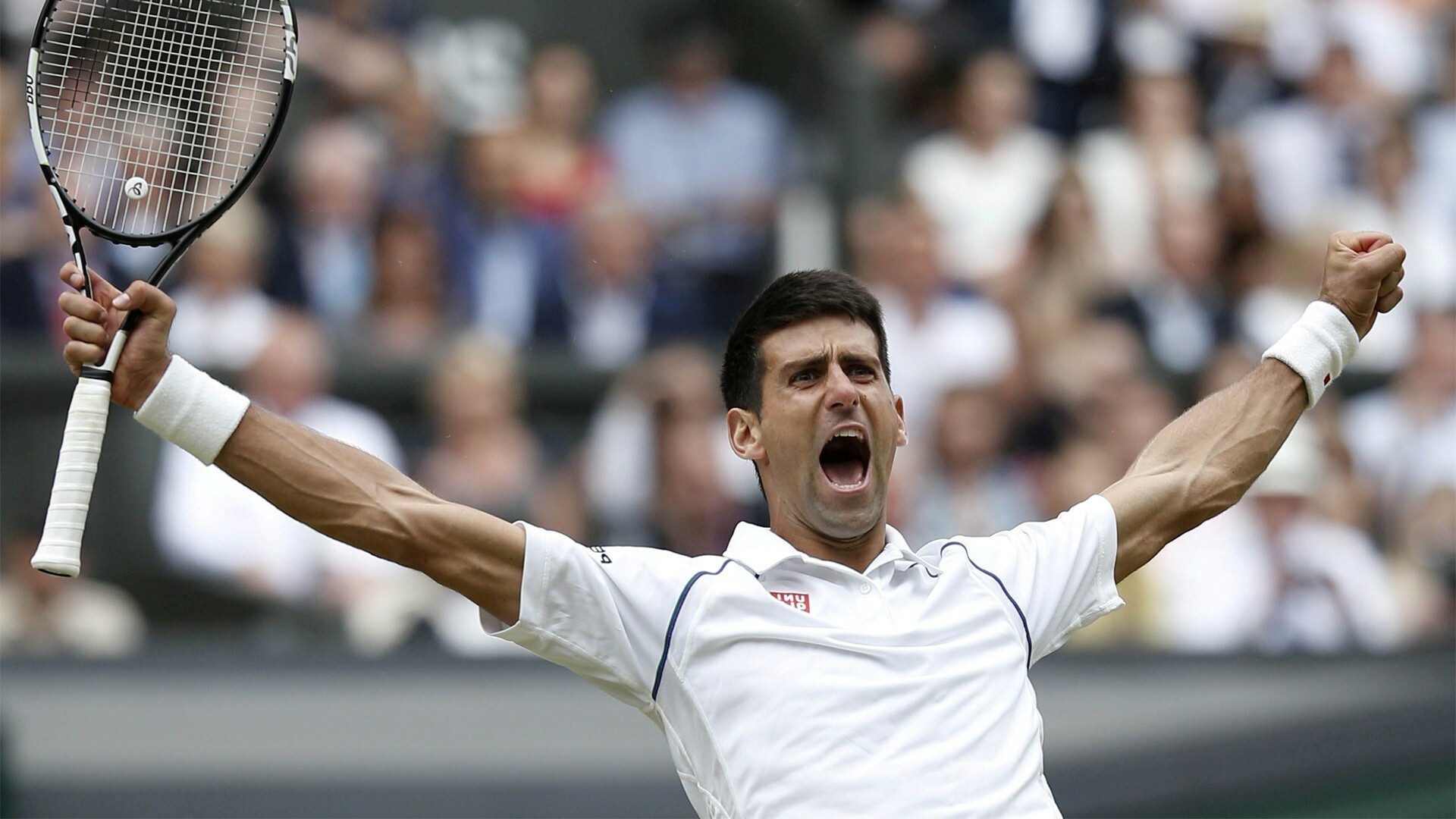 Novak Djokovic, Celebration wallpaper, High-energy vibe, Elevated design, 1920x1080 Full HD Desktop