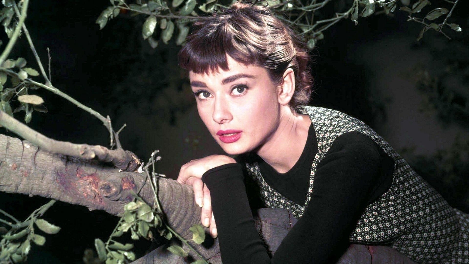 50s classic Sabrina, Trivia, HowStuffWorks, 1920x1080 Full HD Desktop