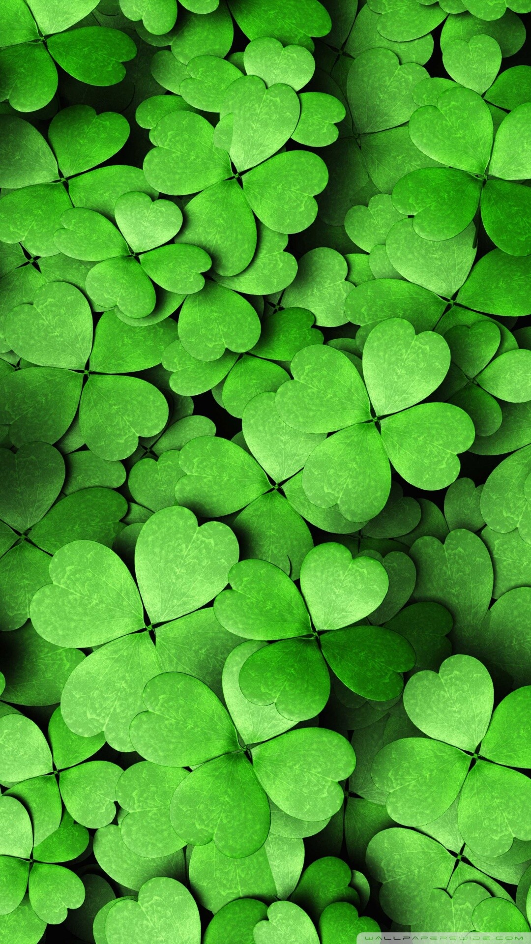 Clover, Leaves Wallpaper, 1080x1920 Full HD Phone