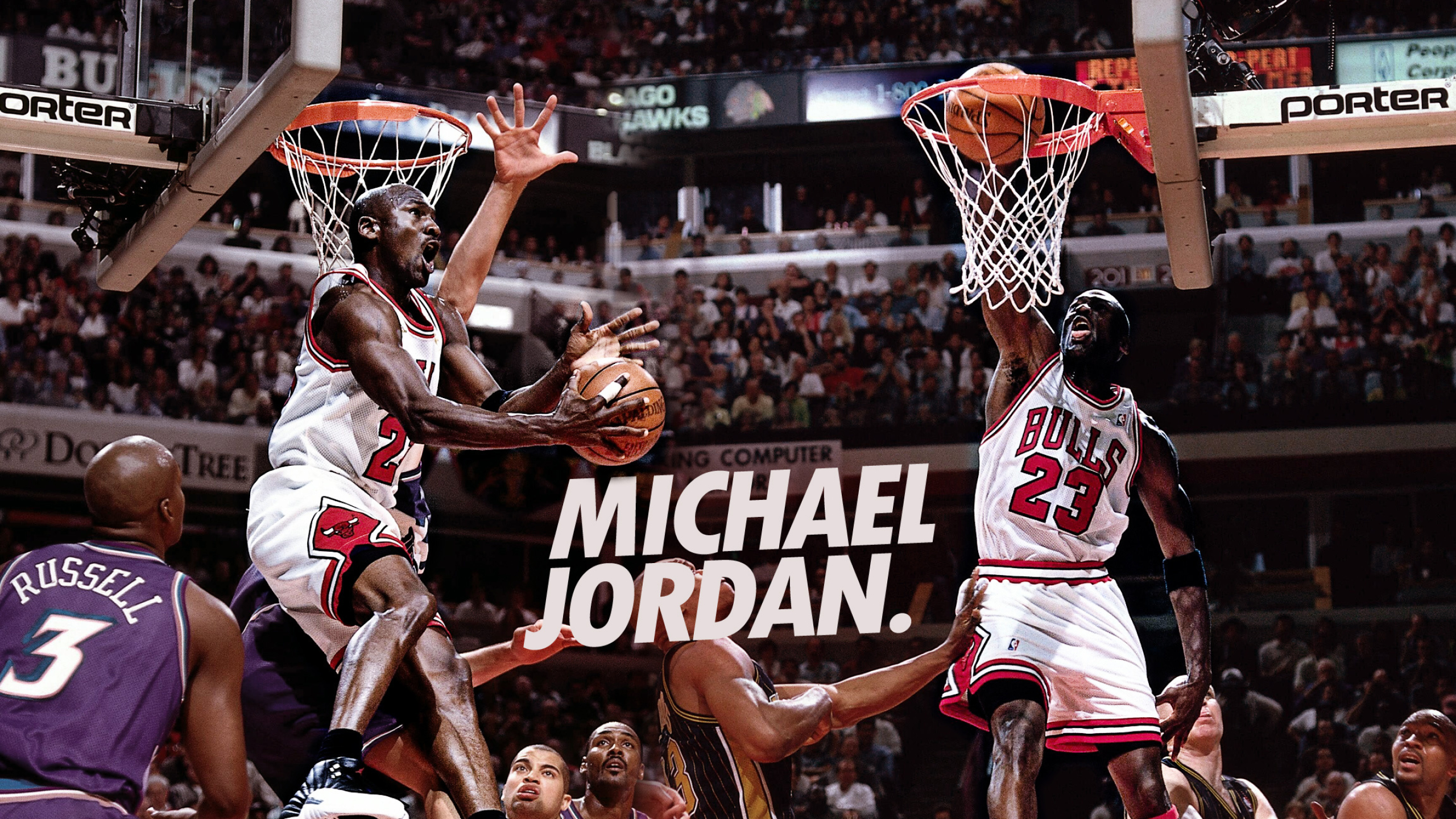 Chicago Bulls, Sports team, HD wallpapers, Background images, 2560x1440 HD Desktop