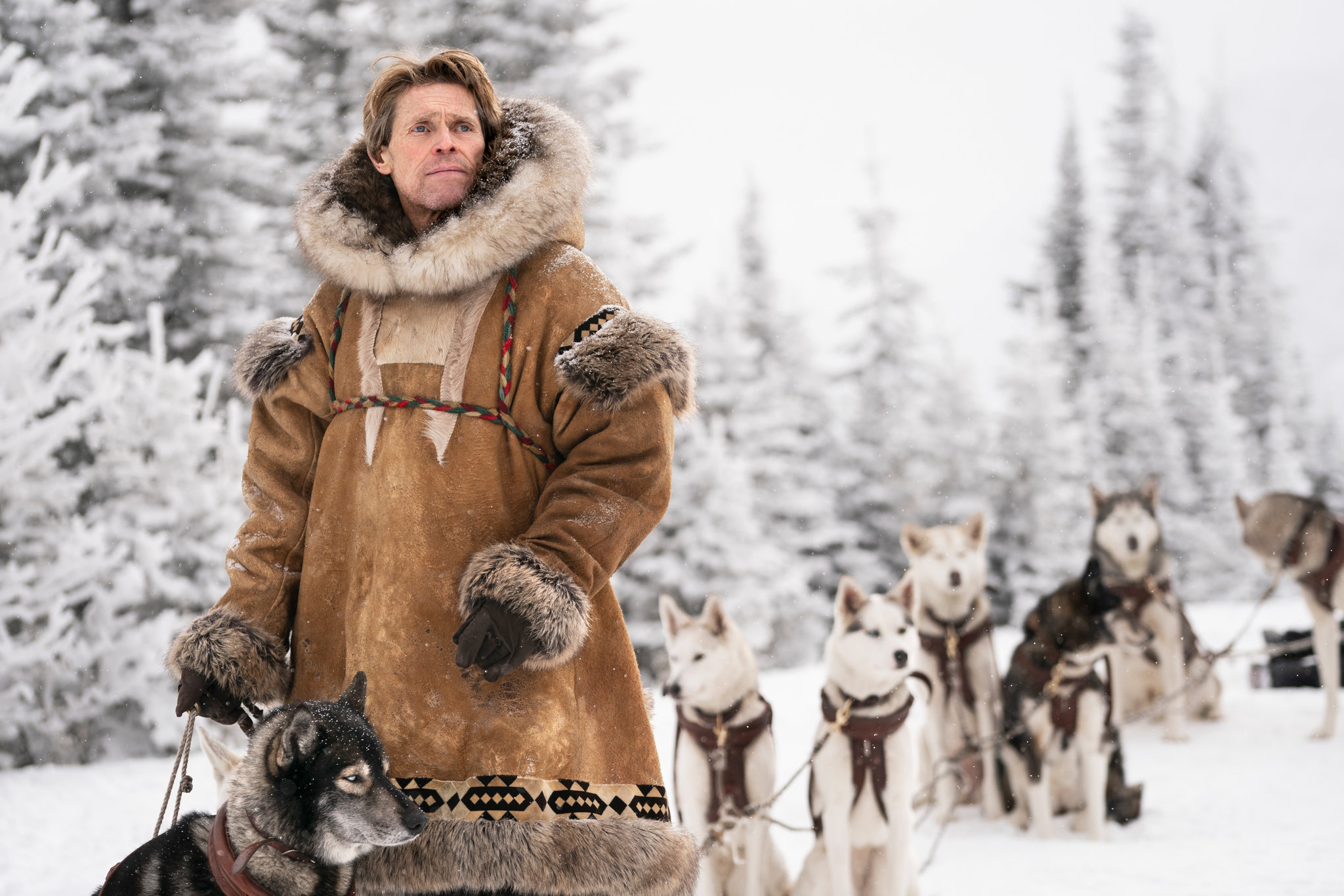 Togo movie, man and his dogs, 2050x1370 HD Desktop