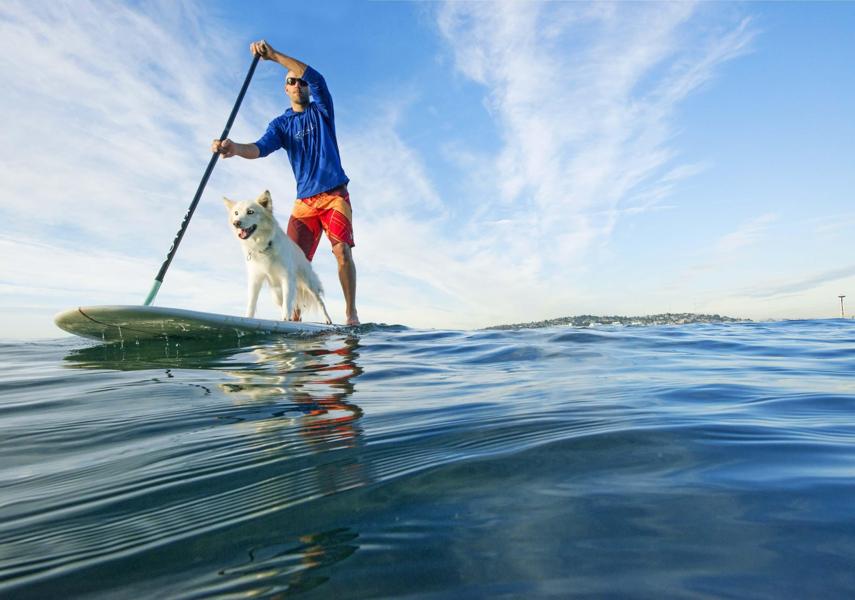Paddleboarding Elliman magazine, Spring 2020, Kim Spears, Curated by, 2970x2090 HD Desktop