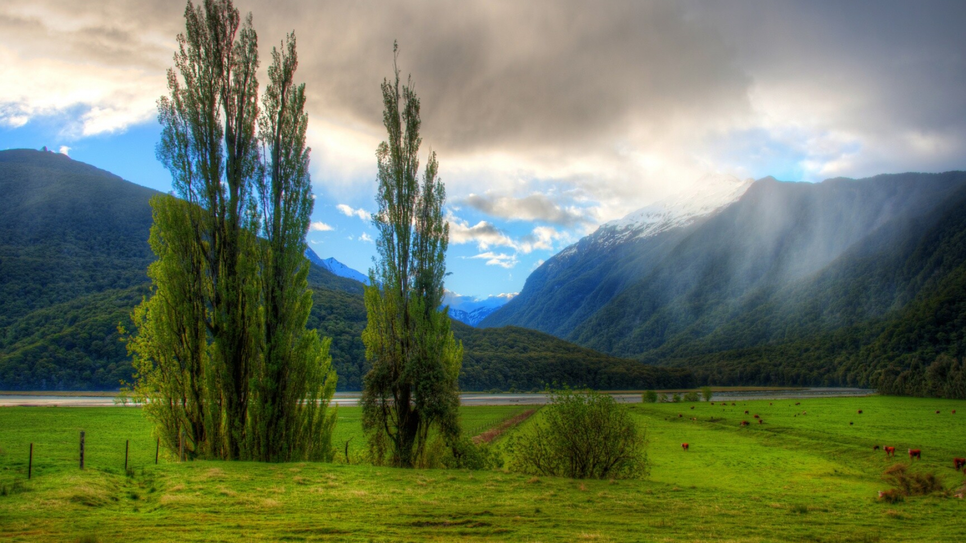Landscape in New Zealand, Ultra HD wallpaper, Widescreen beauty, Stunning background, 1920x1080 Full HD Desktop