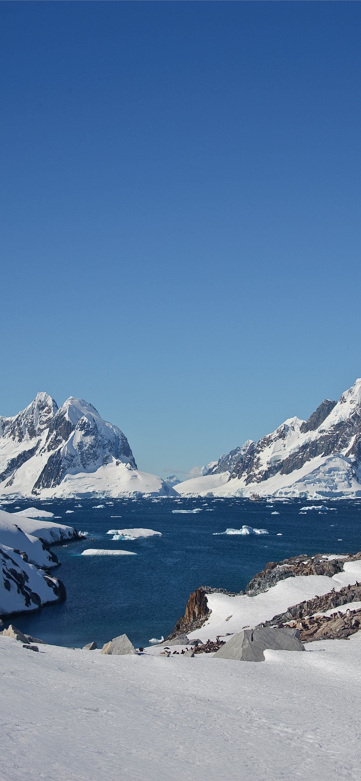 Antarctica Travels, Phone wallpapers, Stunning backgrounds, Arctic beauty, 1250x2690 HD Phone