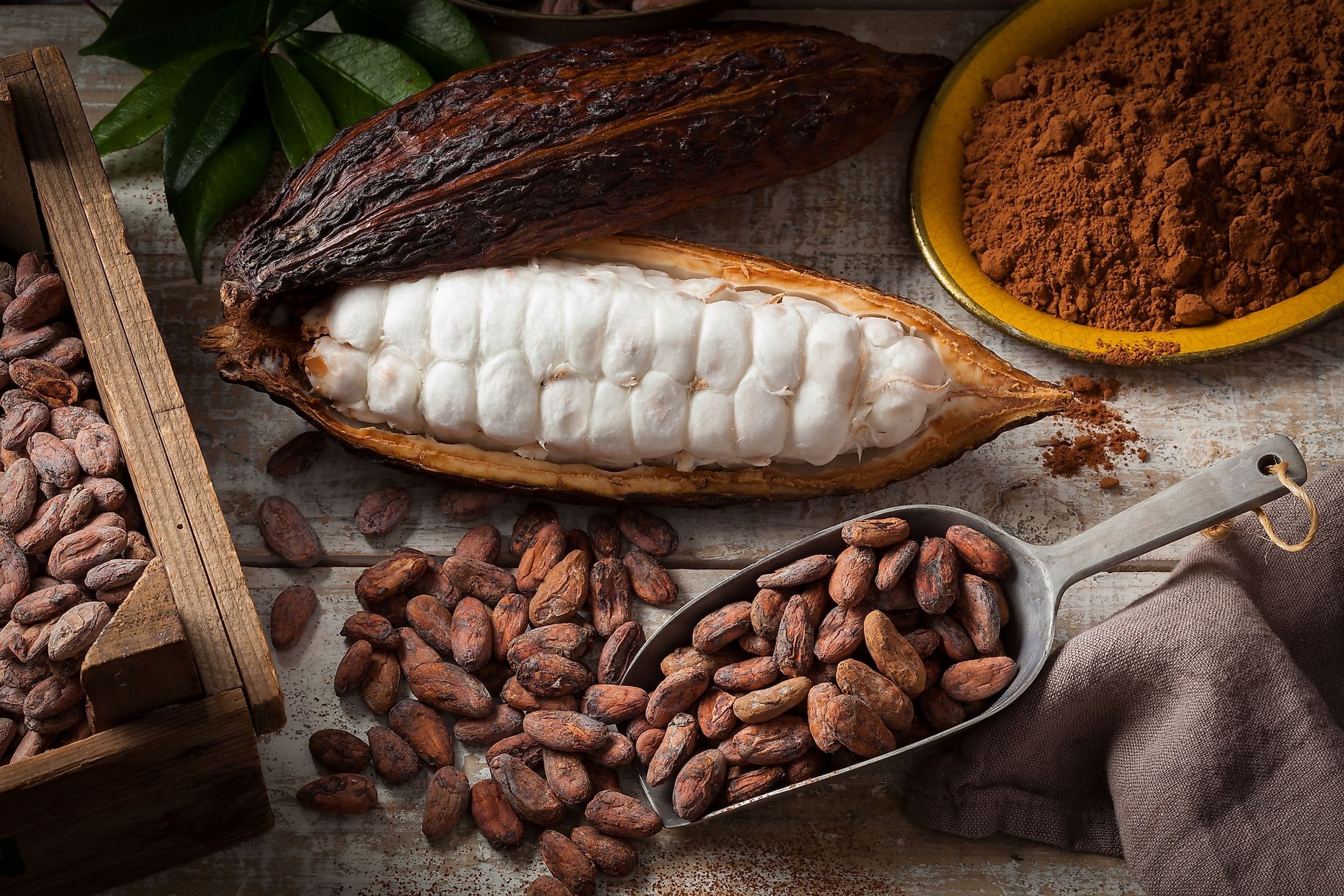 Top cocoa producing countries, World's cocoa hubs, Agricultural powerhouses, Economic impact, 2200x1470 HD Desktop