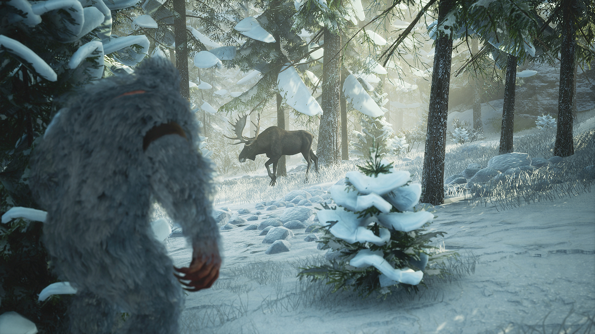 Cryptid encounters, Unexplained sightings, Legendary creature, Fascinating tales, 1920x1080 Full HD Desktop