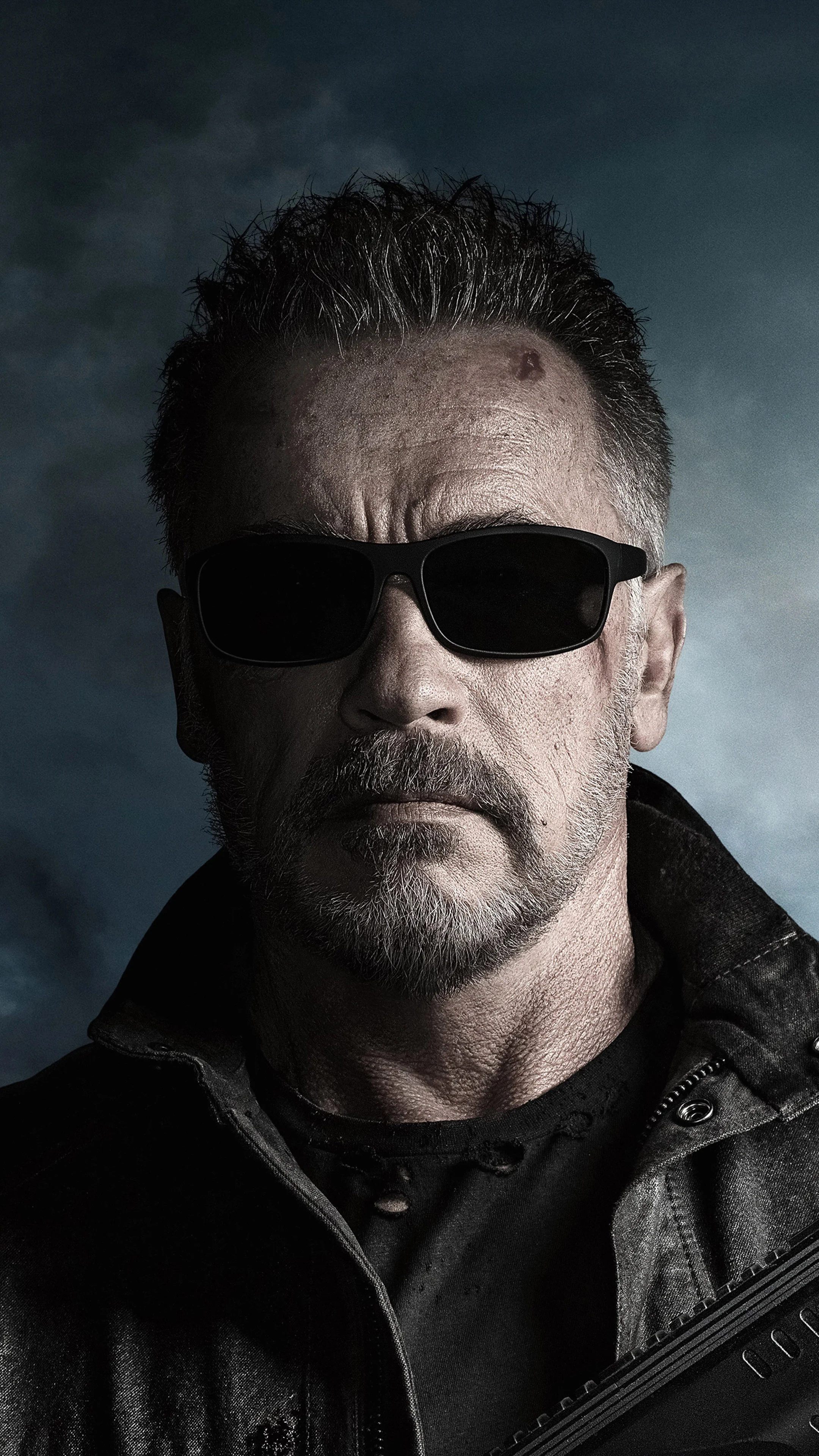 Arnold Schwarzenegger, Terminator wallpapers, Top free backgrounds, 2160x3840 4K Phone