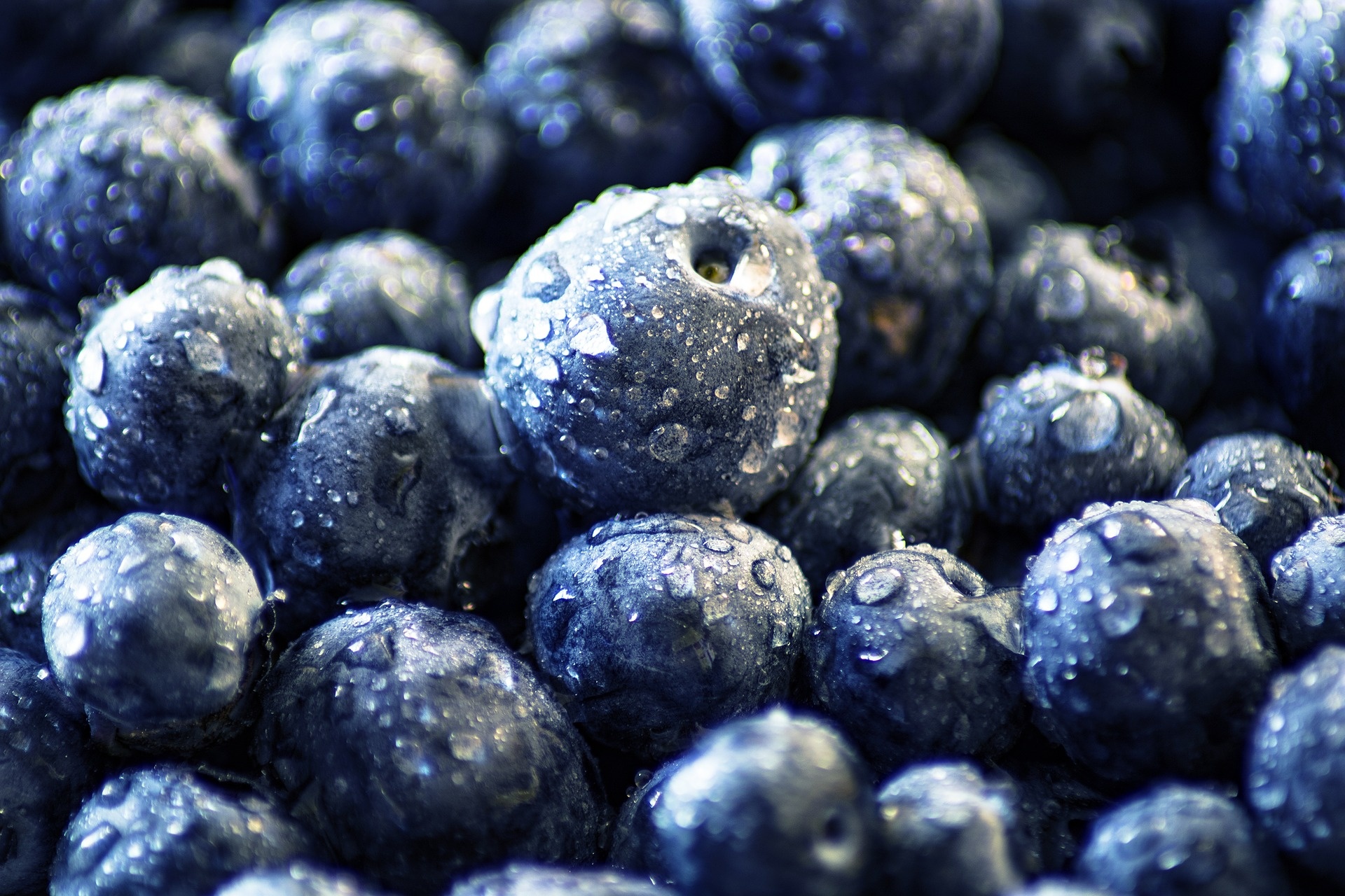 Huckleberry Food, Blueberries, XFCE Desktop, 1920x1280 HD Desktop