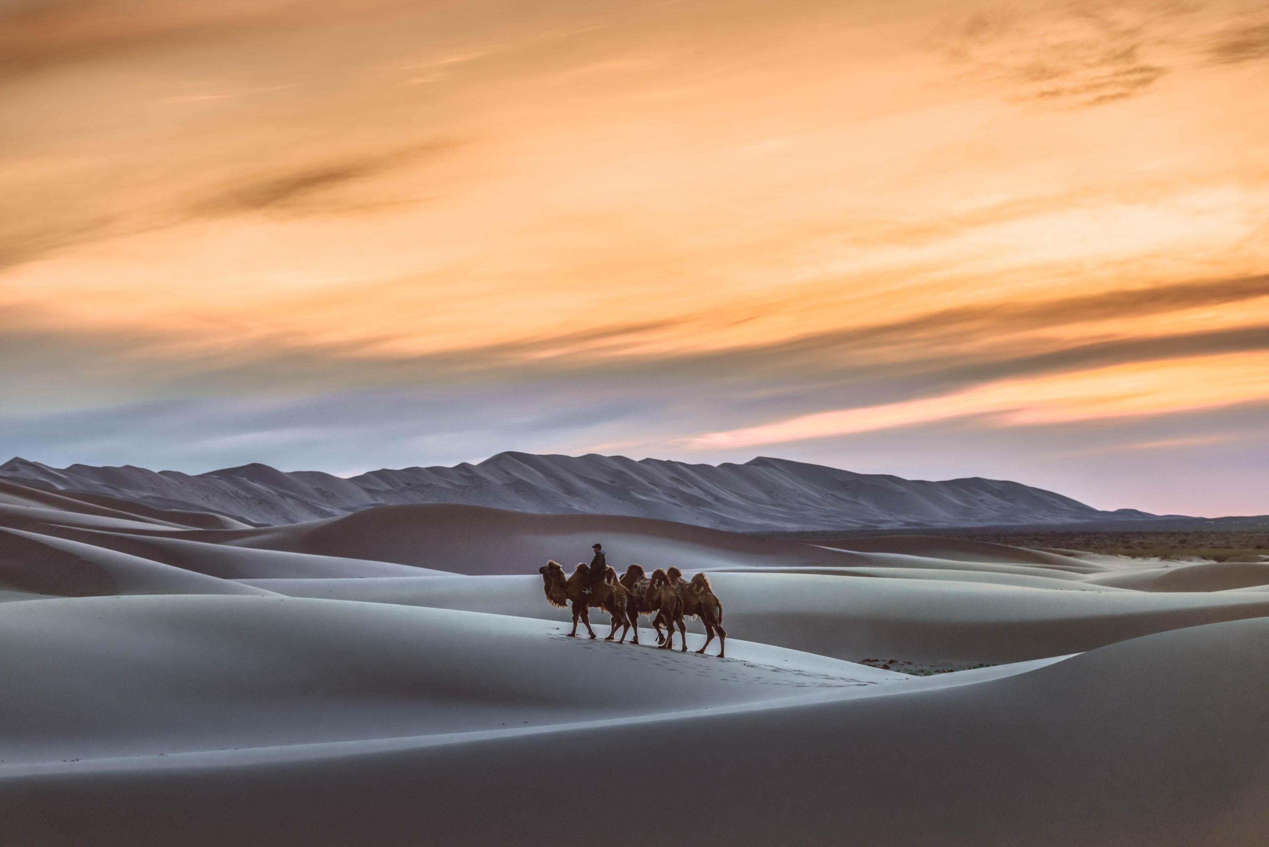 Meanwhile in Mongolia, Unique experiences, Culture and tradition, Unforgettable memories, 2560x1710 HD Desktop