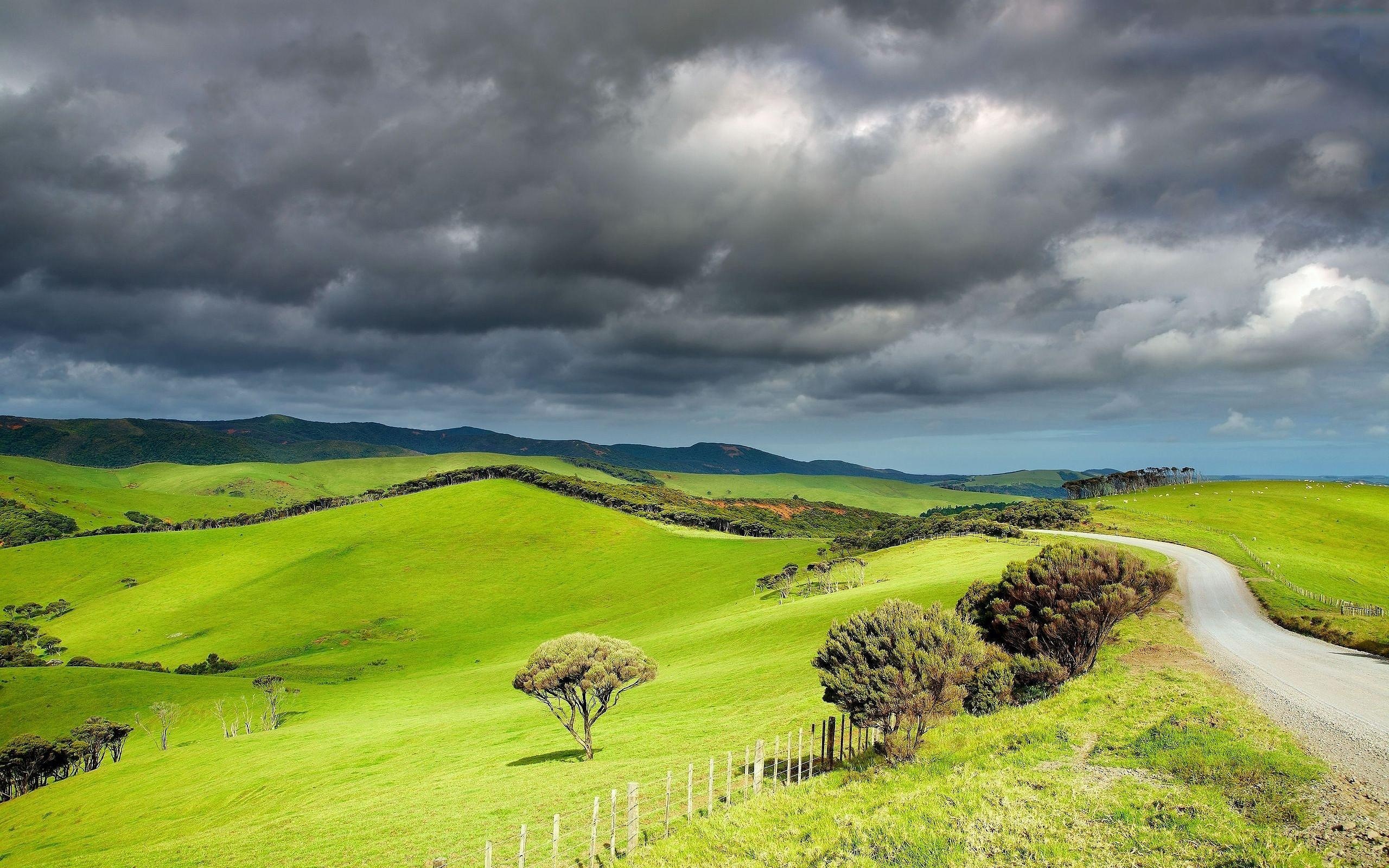 Hills grassland wallpaper, Landscape wallpaper better, Hills grassland wallpaper nature, 2560x1600 HD Desktop