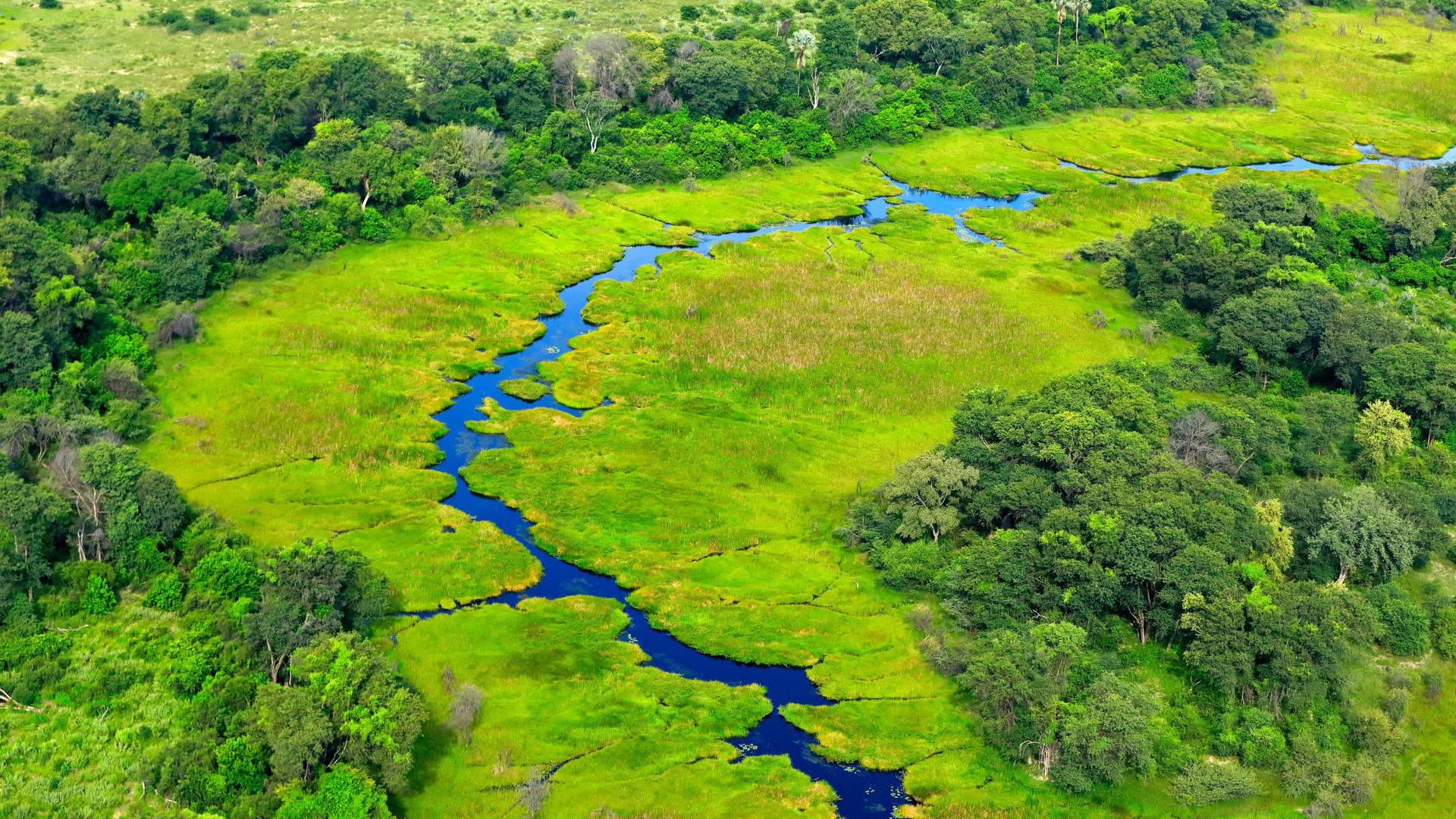 Botswana travels, Zauber Afrikas, Unforgettable experiences, Dream destination, 1920x1080 Full HD Desktop