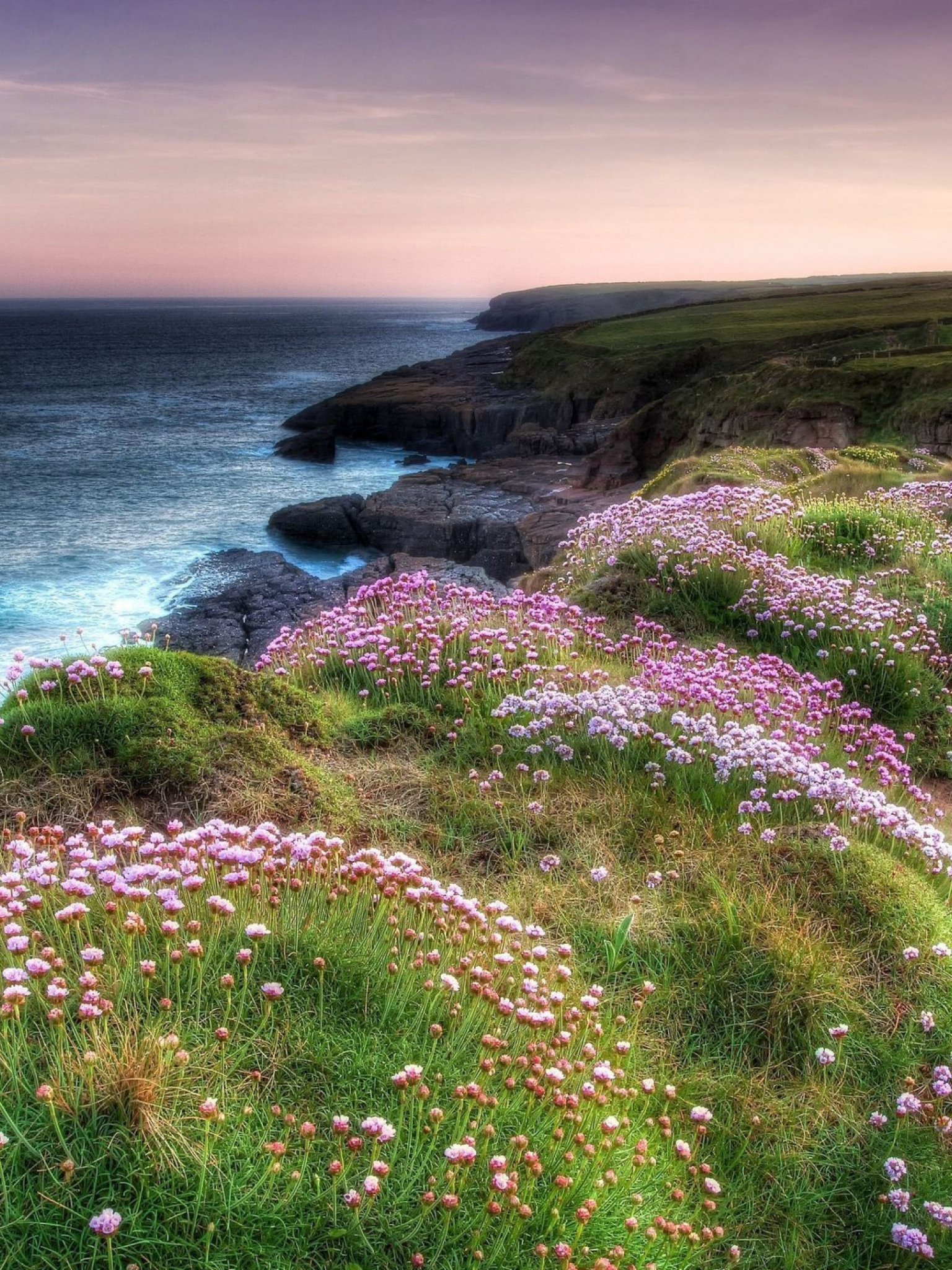 Irish countryside wallpapers, Desktop mobile tablet, Northern Ireland, Scenic beauty, 1540x2050 HD Phone