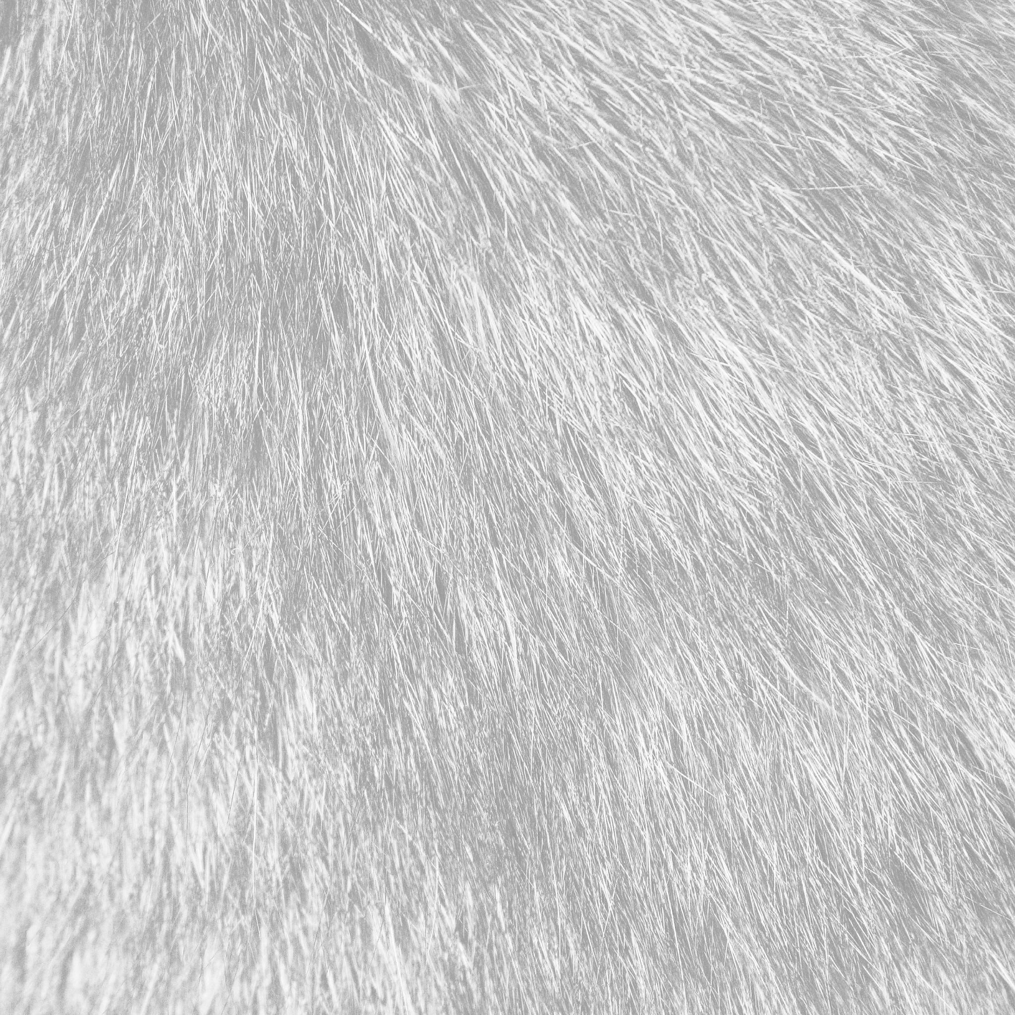 White fur backgrounds, Elegant designs, Minimalist style, Luxurious texture, 2050x2050 HD Phone