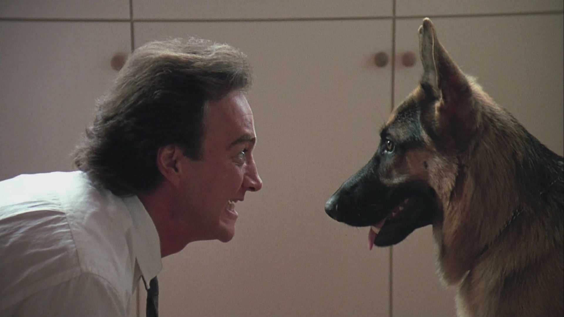 Chili the K-9, Drug-sniffing dog, Retro film nostalgia, Cold-nosed detective, 1920x1080 Full HD Desktop