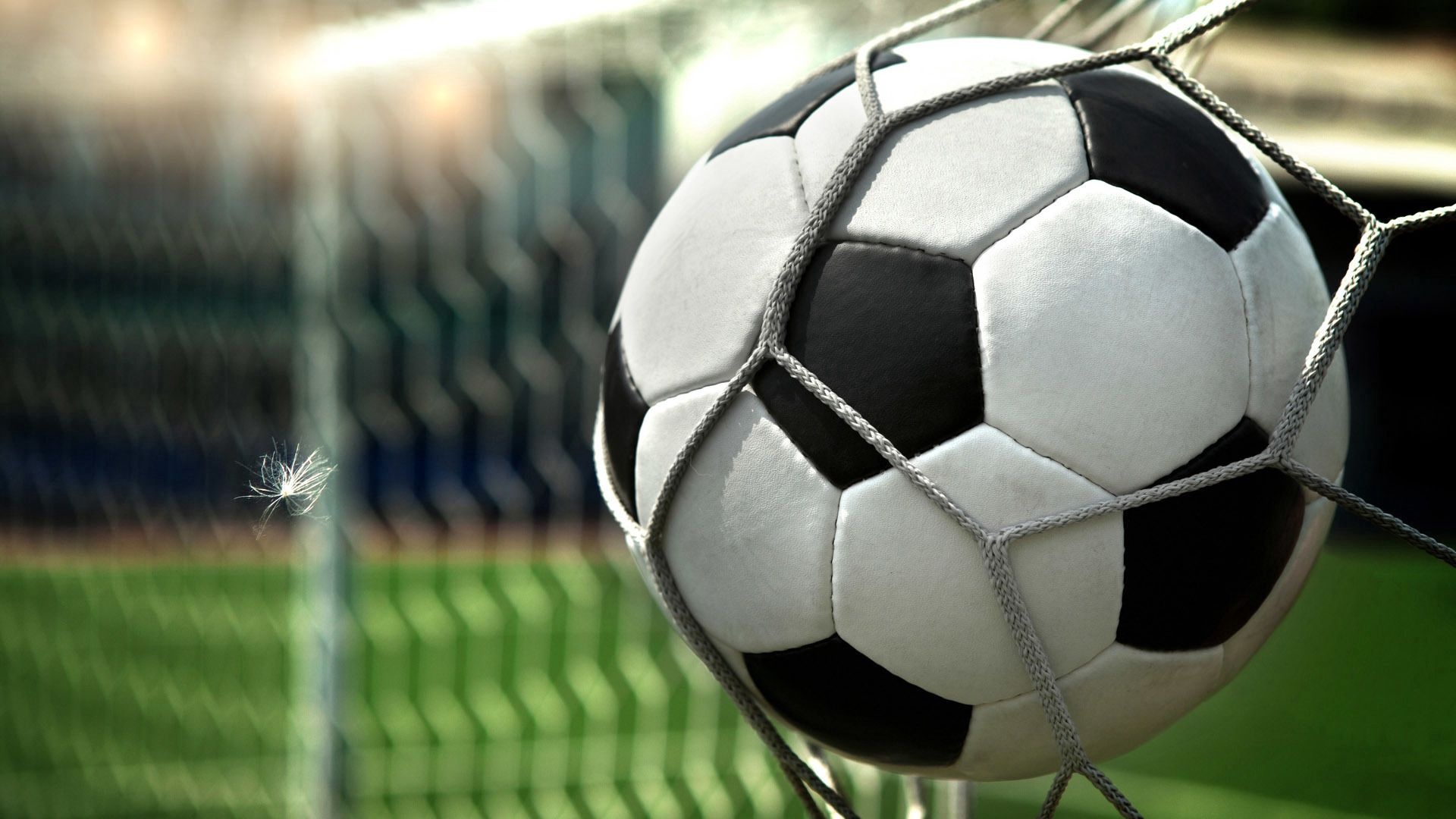 Handy background, Ball sport, Football, Grid, 1920x1080 Full HD Desktop