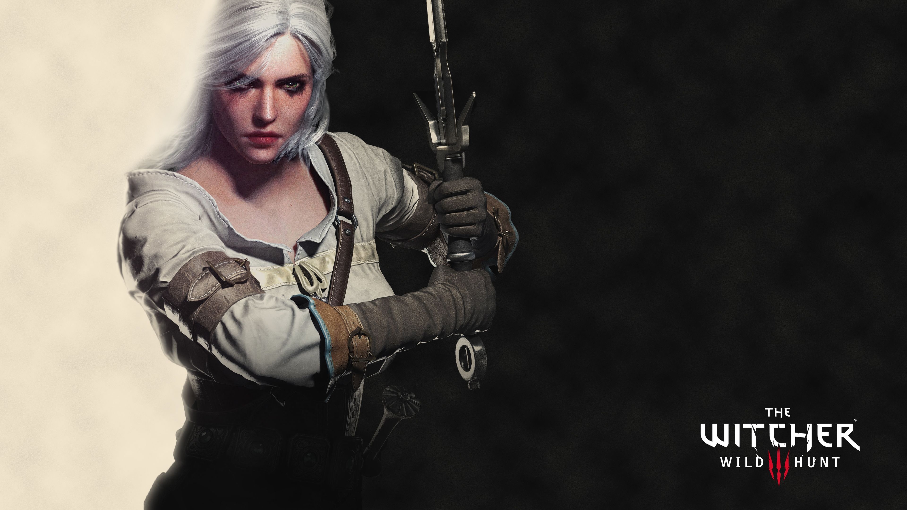 Ciri Witcher 3 wallpapers, Wide selection, Stunning visuals, 3840x2160 4K Desktop