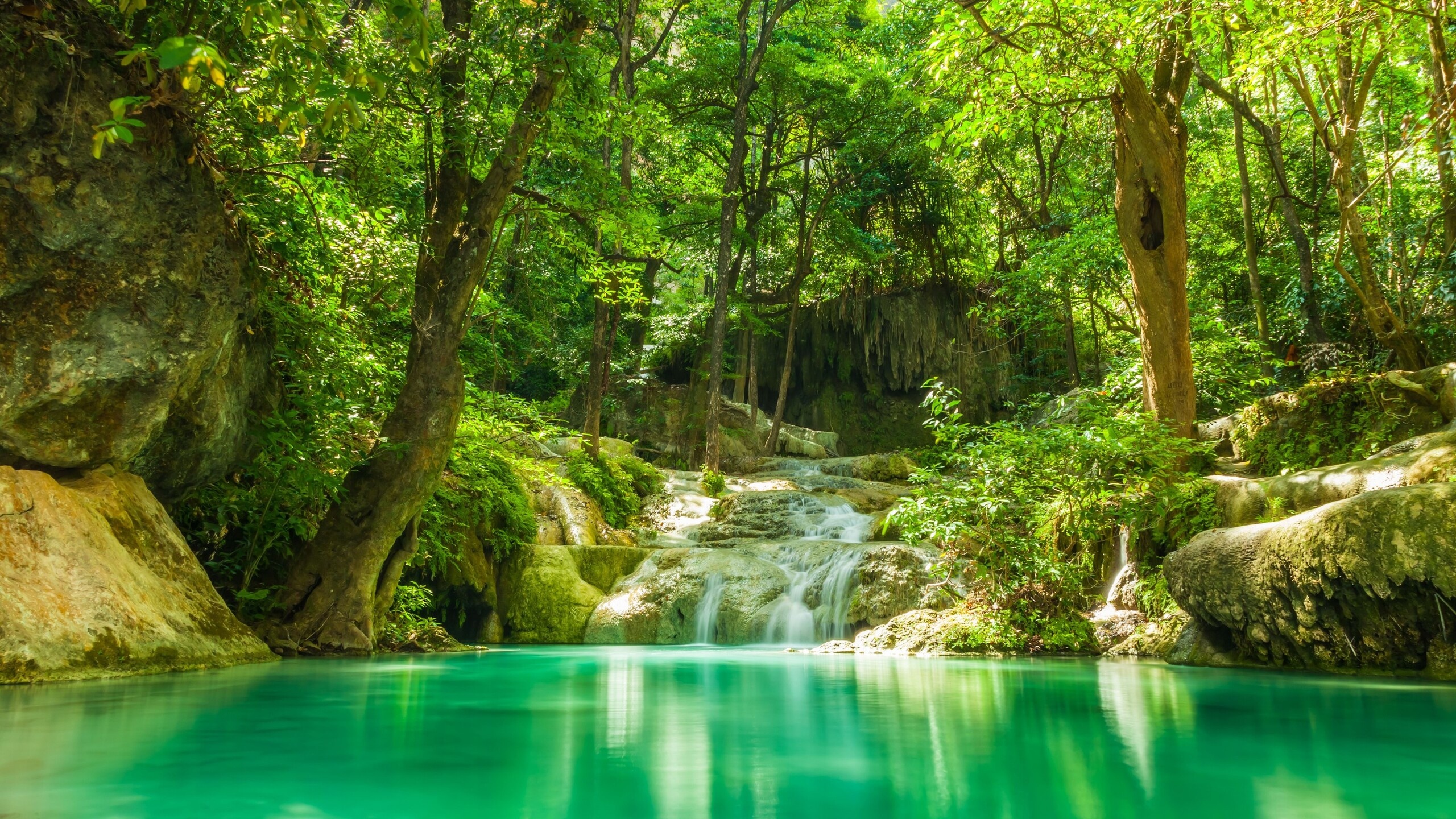 Daintree National Park, Forest cascades, Serene lakes, Captivating imagery, 2560x1440 HD Desktop