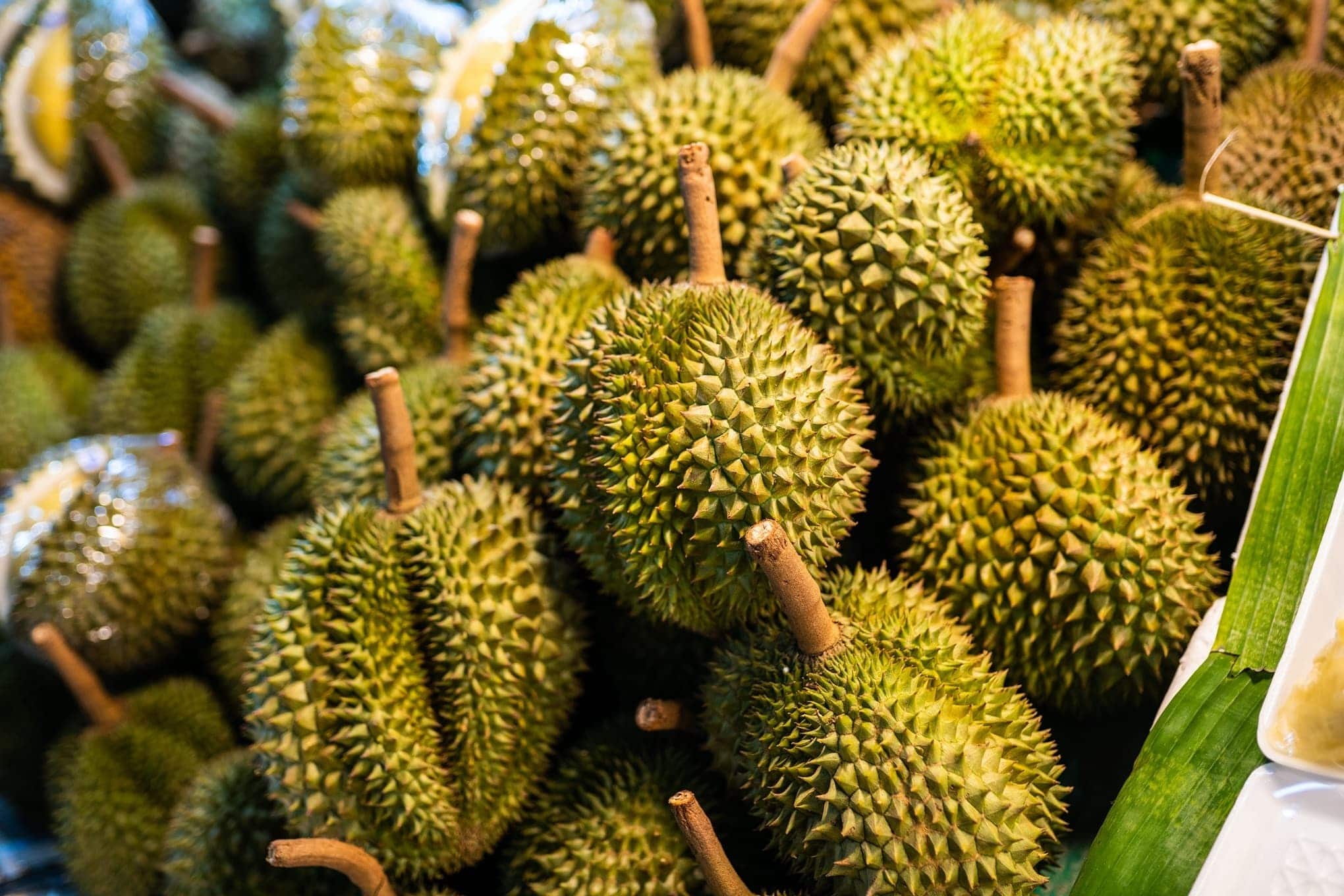 Jackfruit vs Durian, Horticulture differences, Tropical fruits, Comparative analysis, 2040x1360 HD Desktop