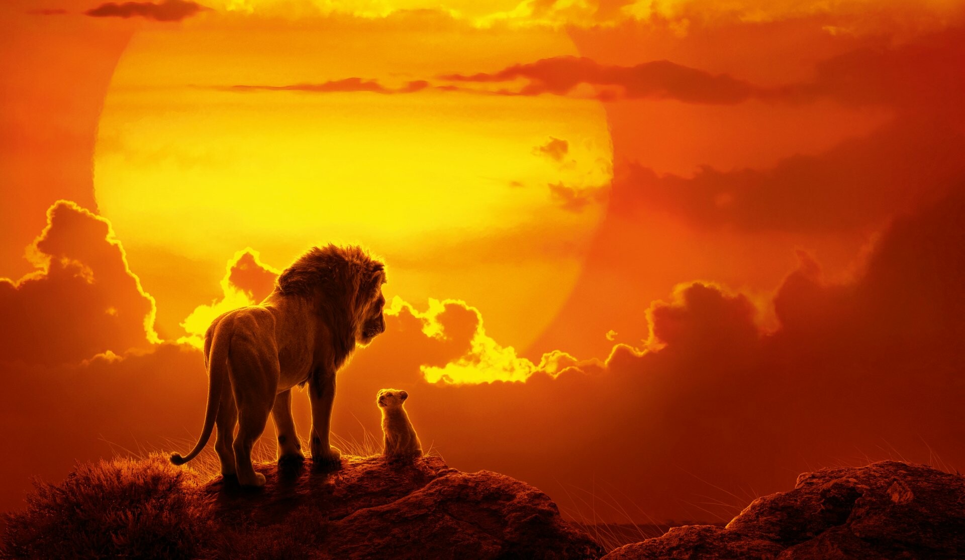 The Lion King, 2019 movie, HD wallpapers, Majestic animals, 1920x1120 HD Desktop