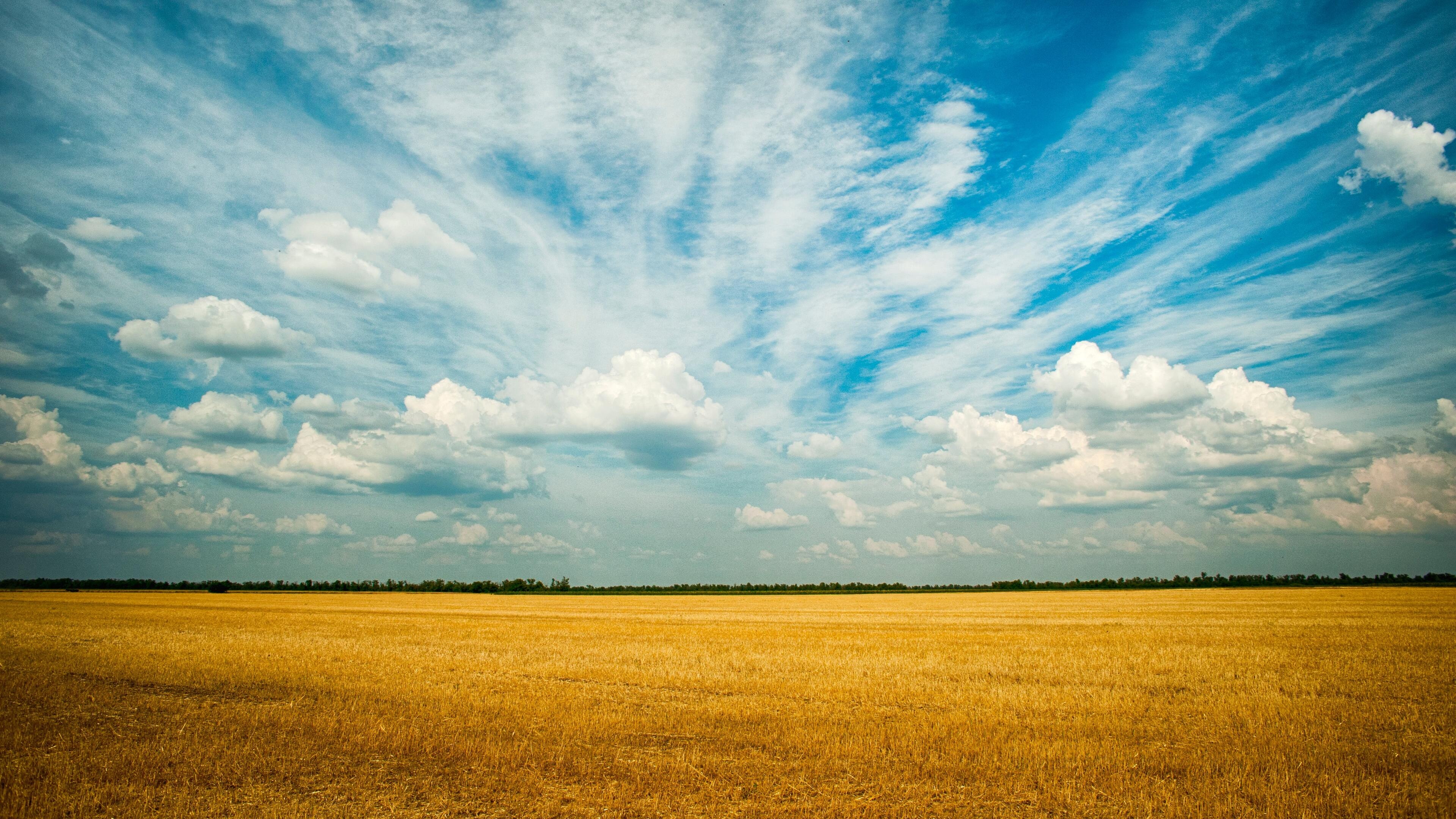 Grassland, Farms Wallpaper, 3840x2160 4K Desktop