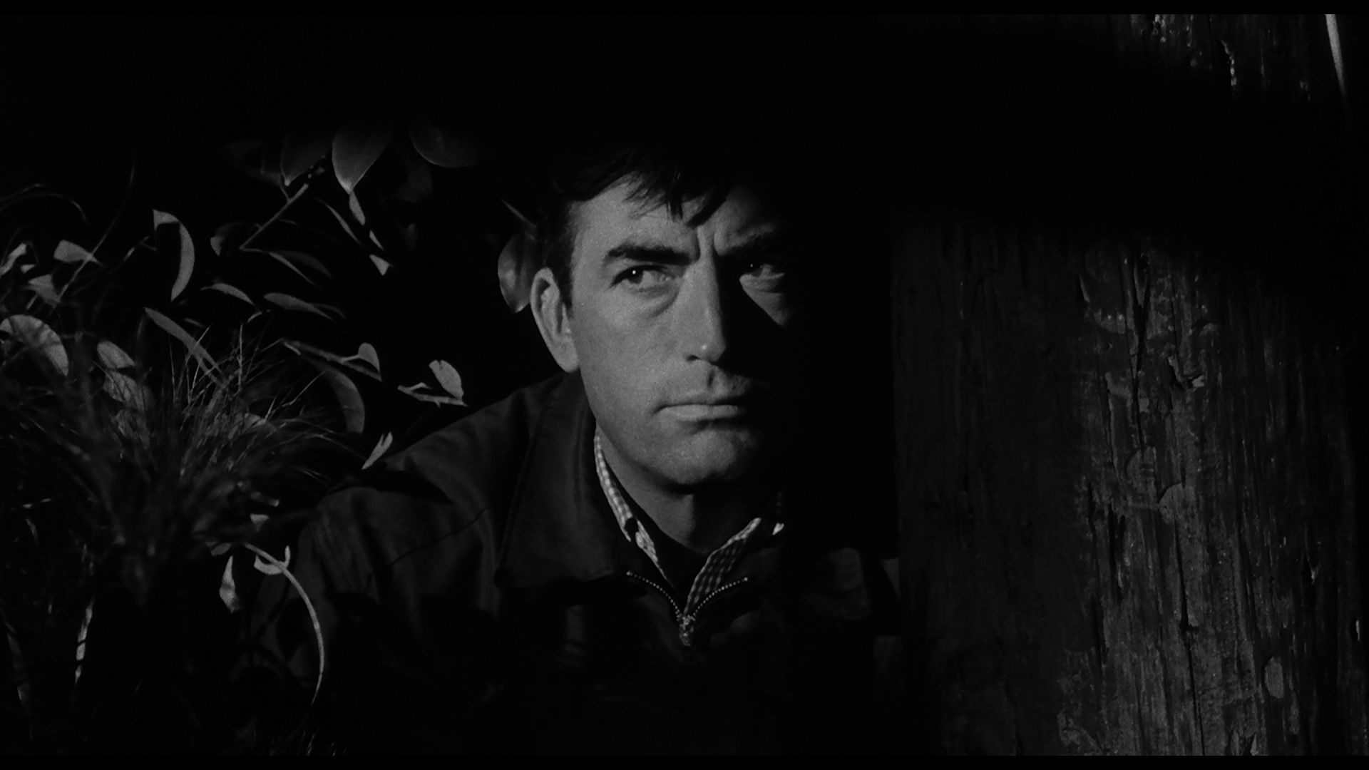 Gregory Peck, Cape Fear, 1962, 1920x1080 Full HD Desktop