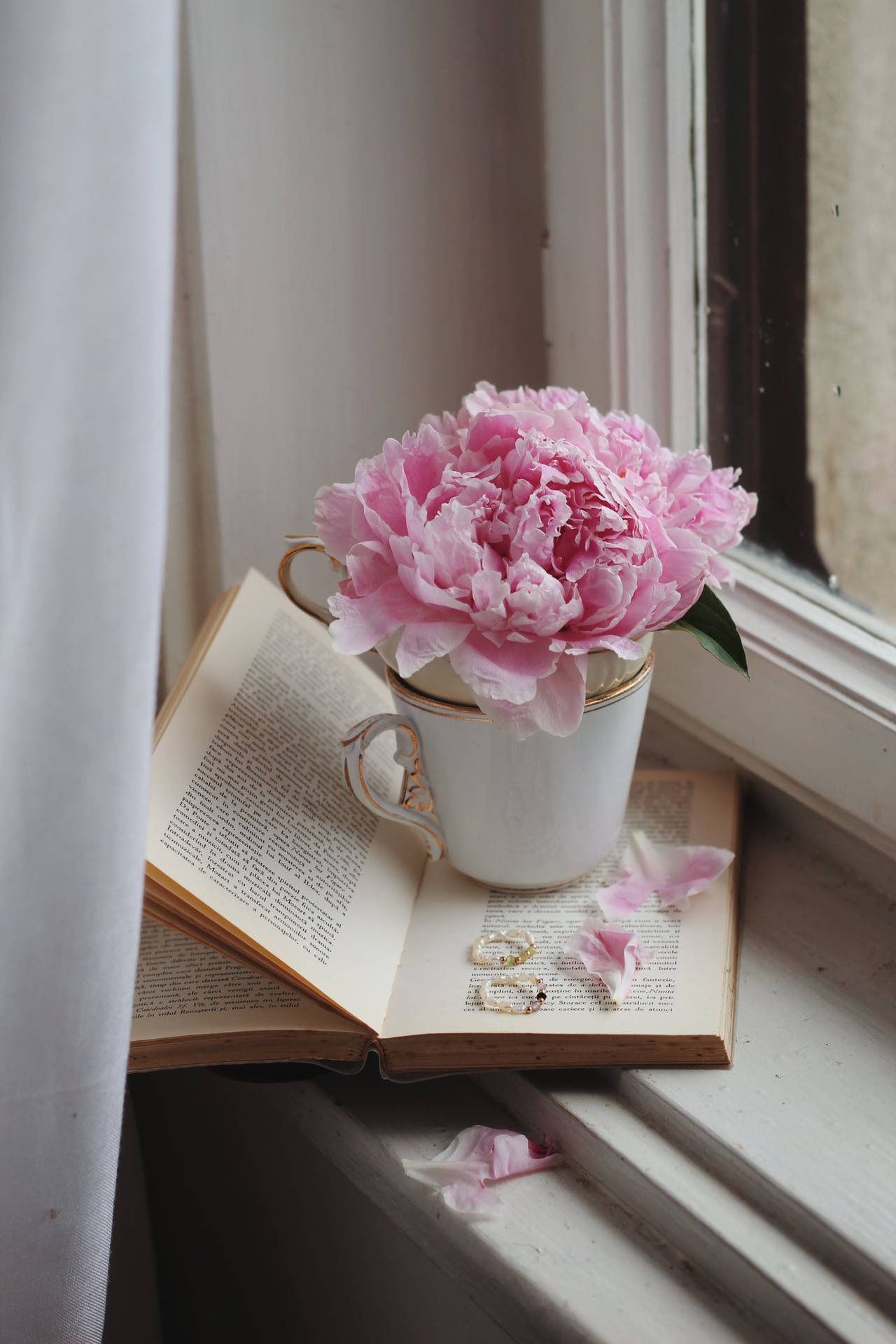 Pink peony bloom, Gilded porcelain teacup, Open paperback book, Fallen pink petals, Pearl bracelet, HD Phone wallpaper