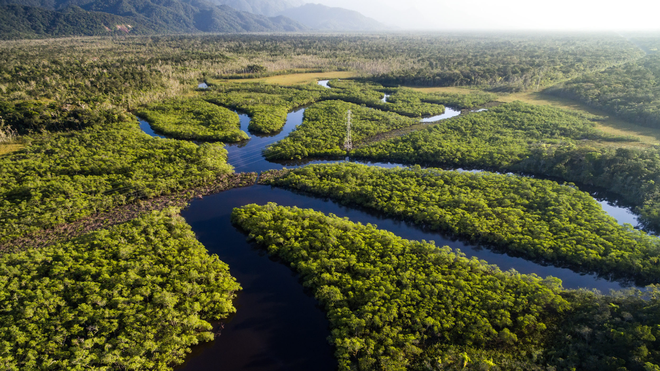 Amazon rainforests, Brazil Wallpaper, 2500x1410 HD Desktop