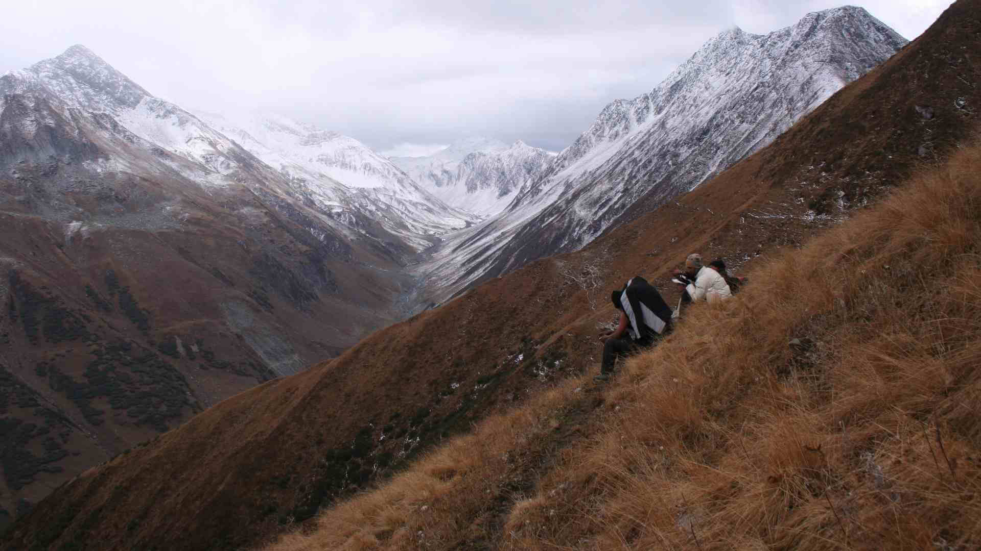 Great Himalayan National Park, Sterling Holidays blog, Unforgettable experience, Nature's paradise, 1920x1080 Full HD Desktop