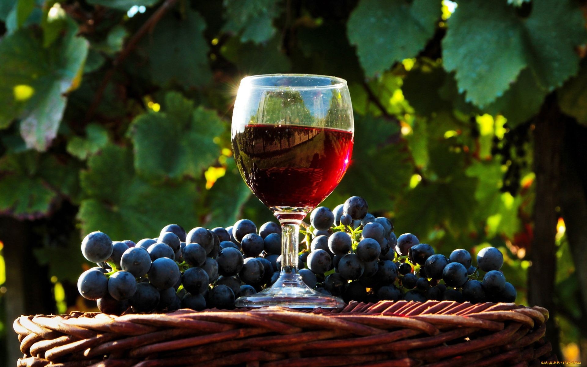 Wein HD wallpapers, Stunning backgrounds, Goblet glass, 1920x1200 HD Desktop