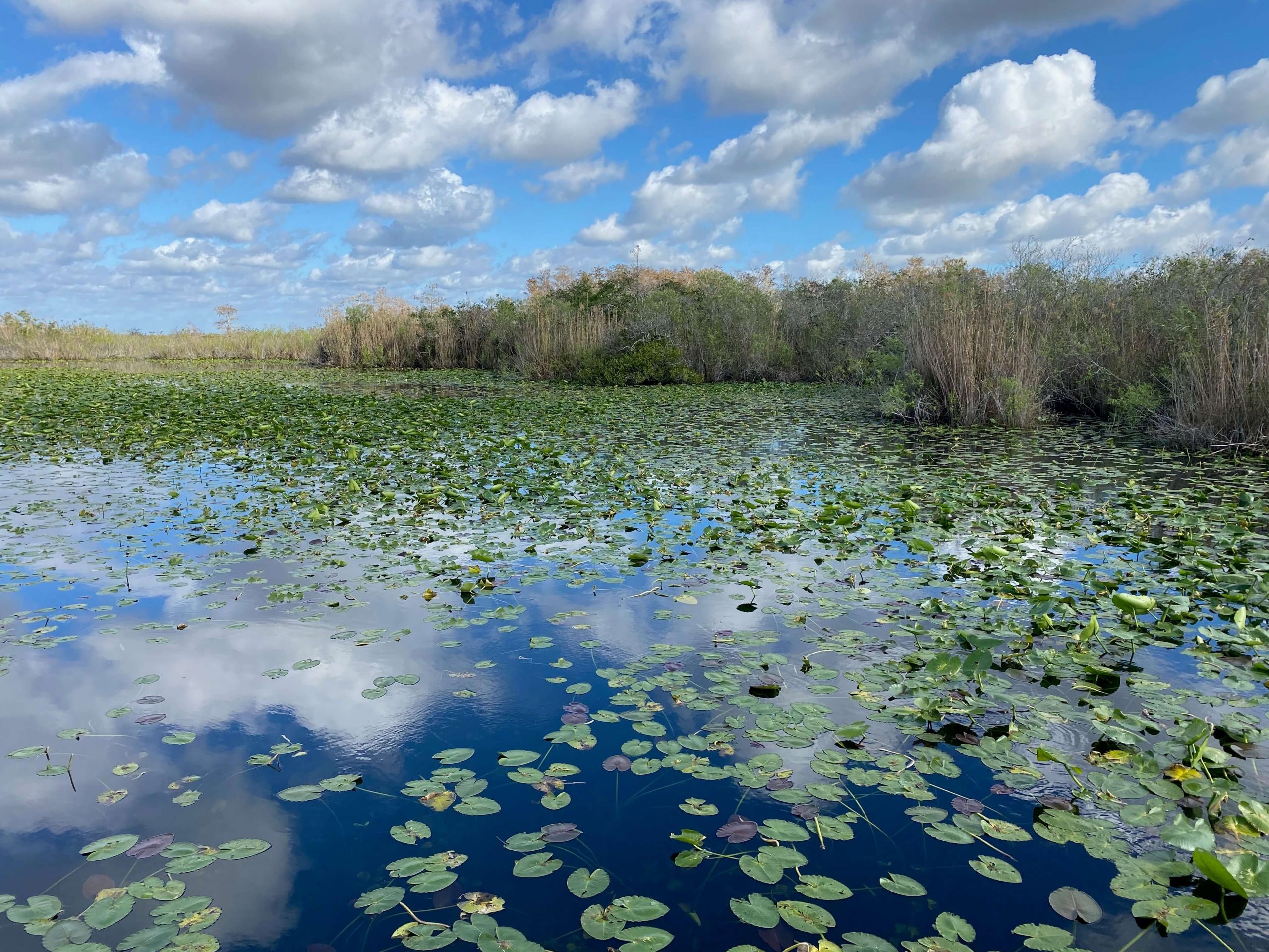 Everglades National Park, Interesting activities, Stuck on the go, Discover more, 2560x1920 HD Desktop