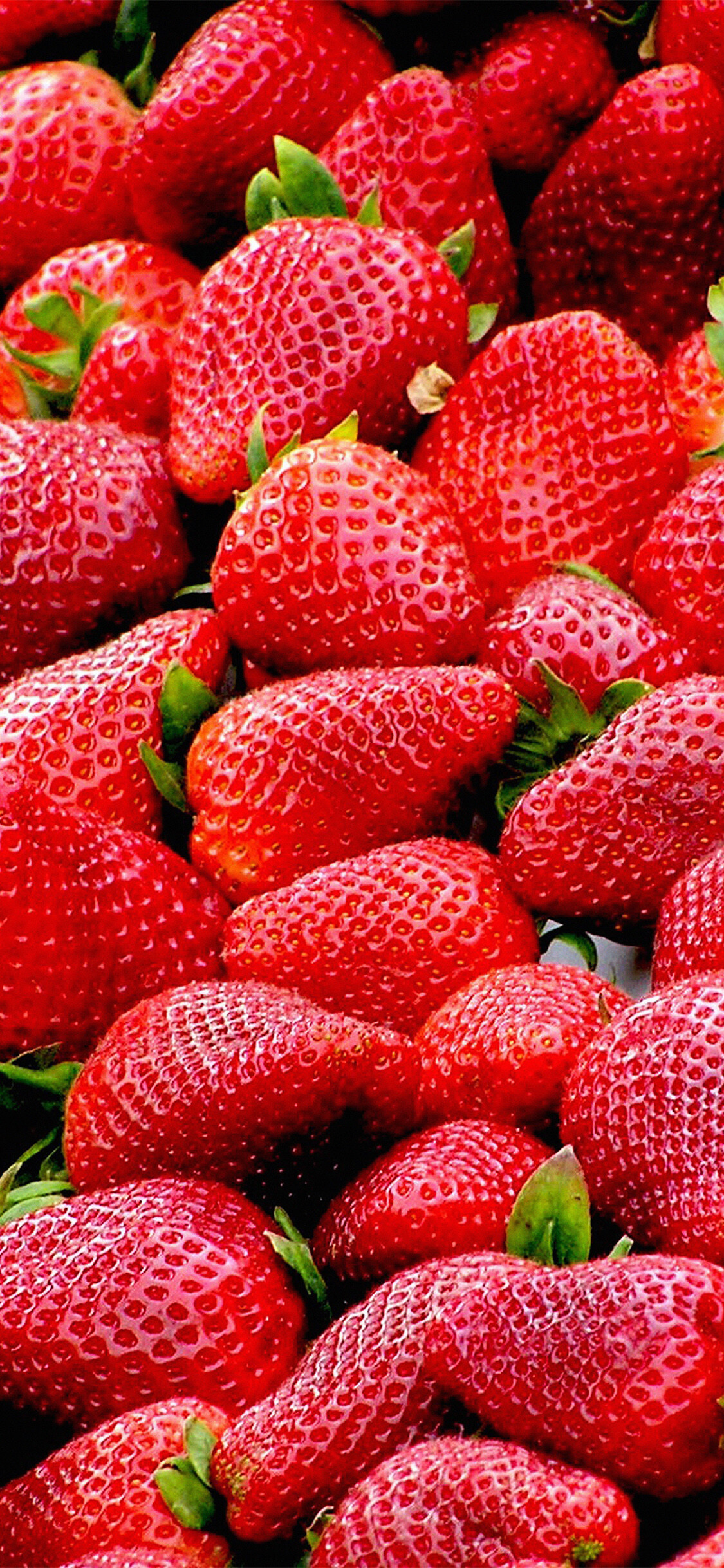 Red strawberry delight, Perfect wallpaper for iPhone 11, 1130x2440 HD Phone