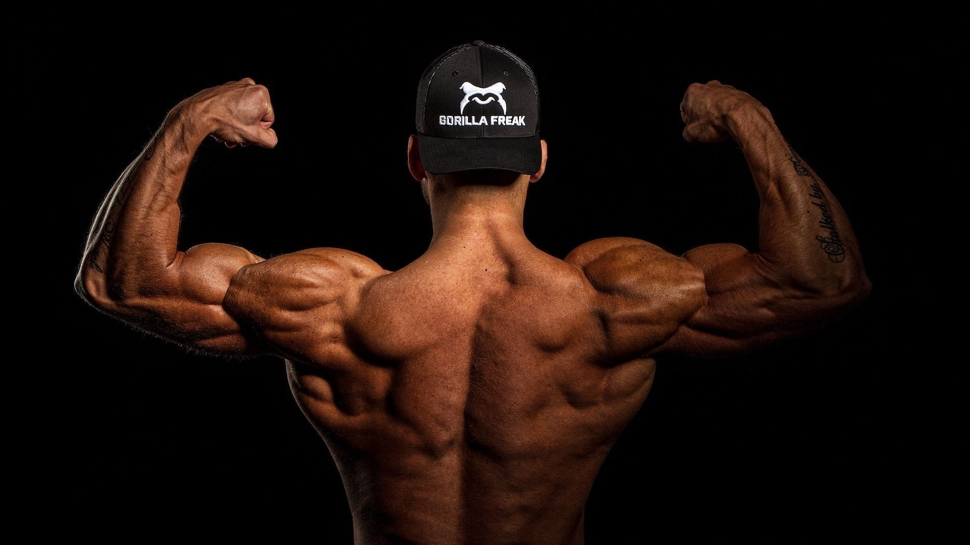 Bodybuilder back double biceps, Gorilla Freak baseball cap, Muscular back definition, Full HD Desktop wallpaper