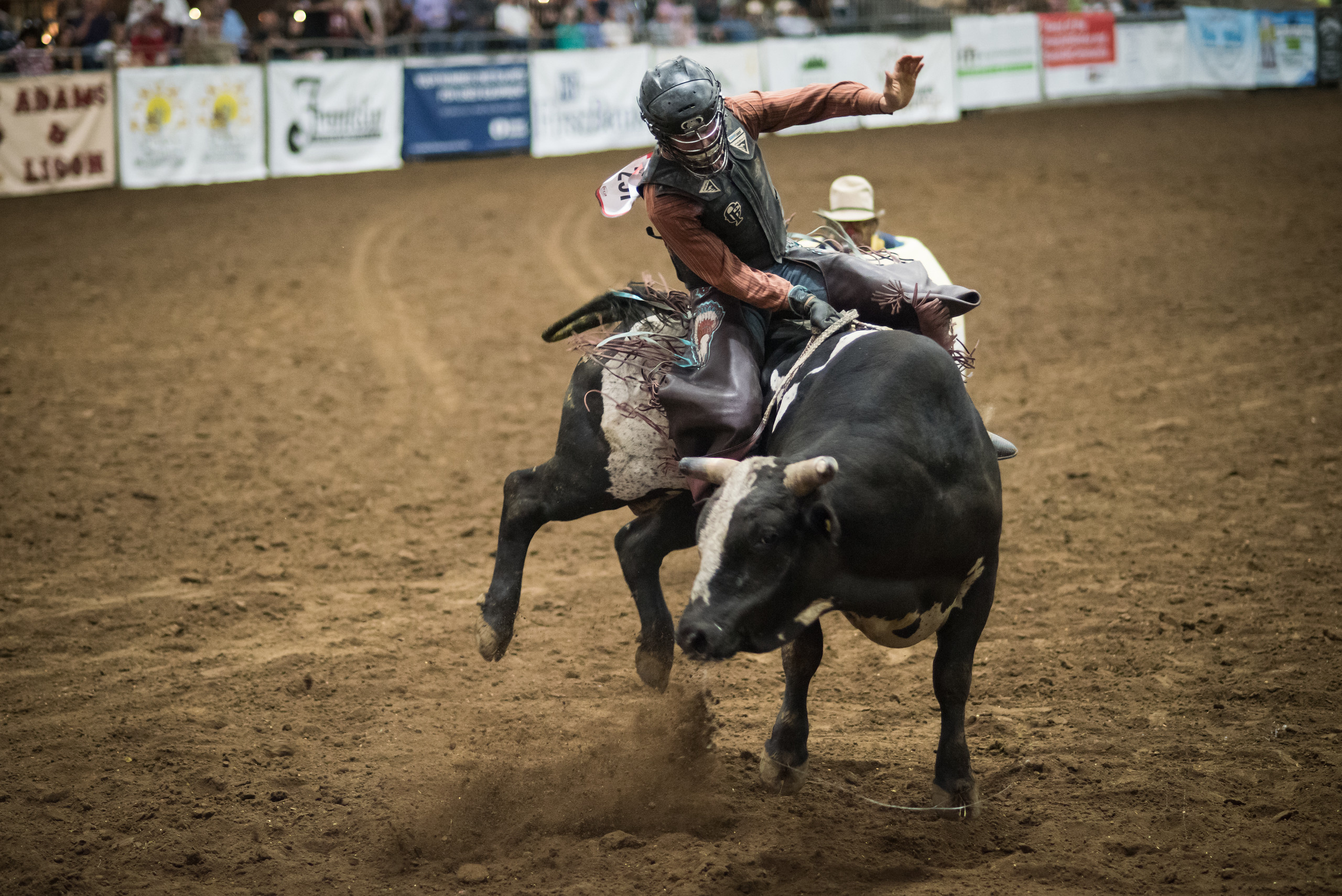 2018 Franklin Rodeo, Rodeo Wallpaper, 2560x1710 HD Desktop